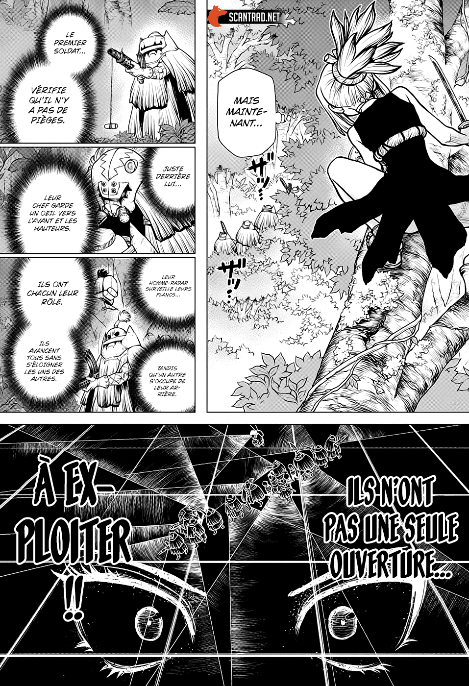Read Dr Stone FR Manga Online