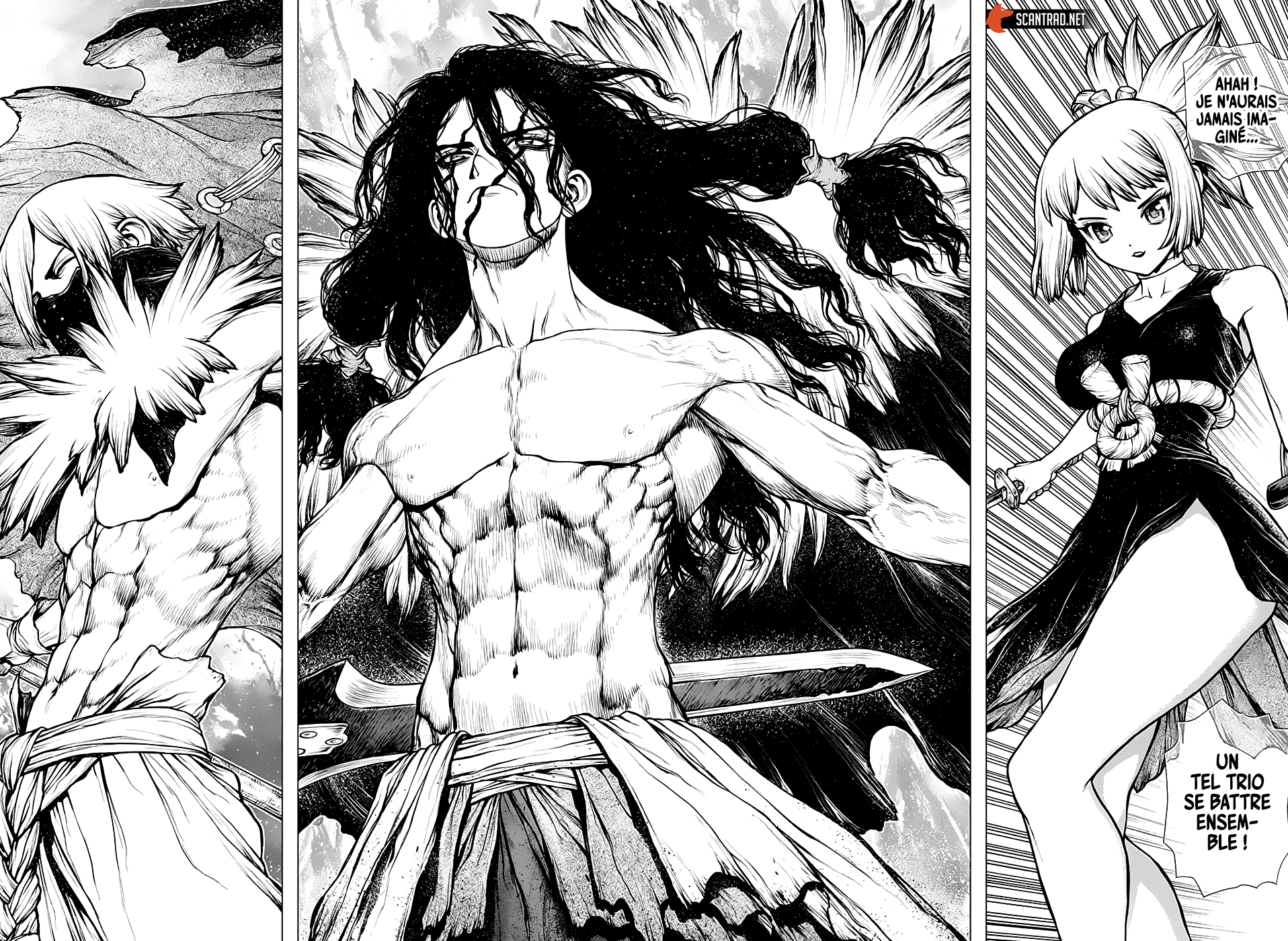 Read Dr Stone FR Manga Online