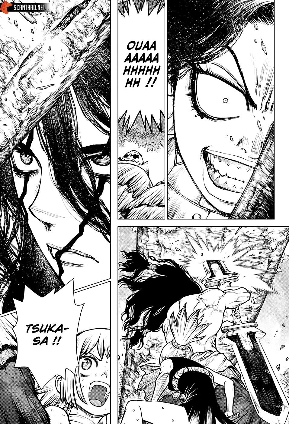 Read Dr Stone FR Manga Online