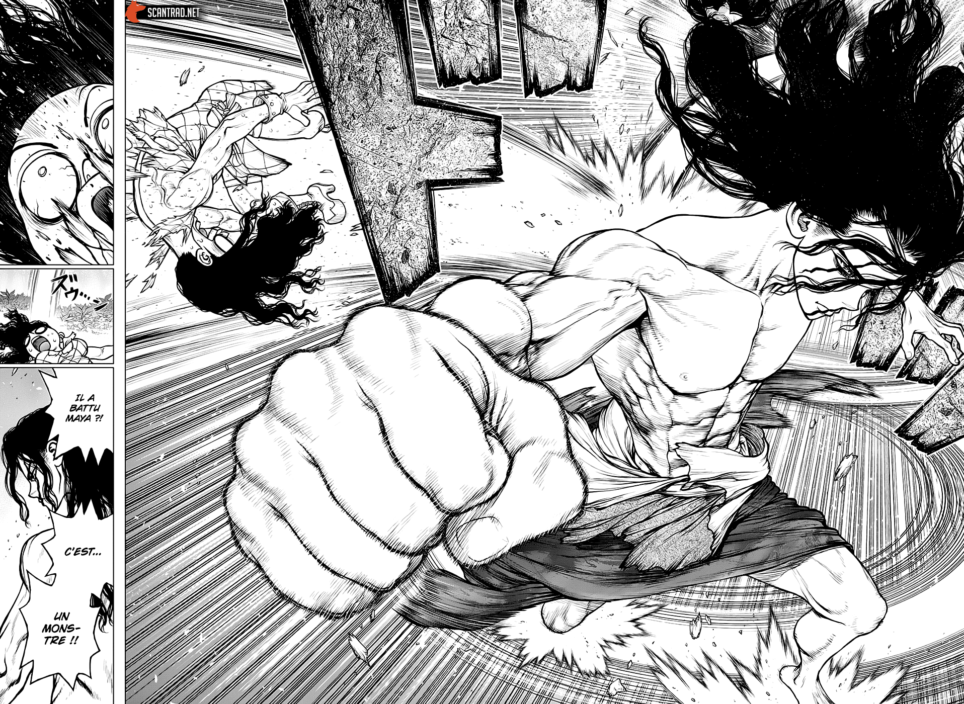 Read Dr Stone FR Manga Online