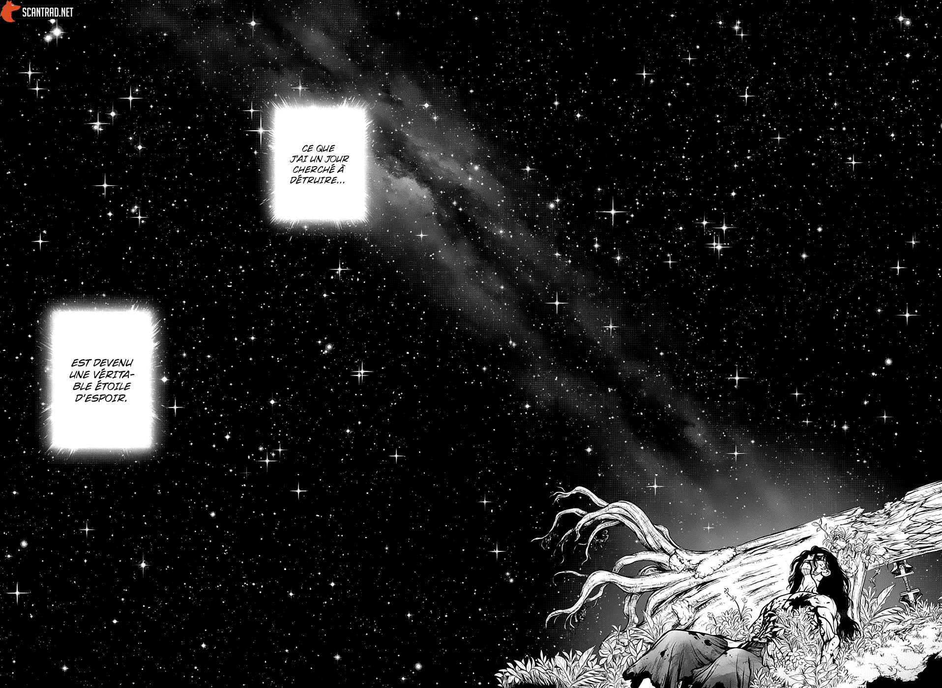 Read Dr Stone FR Manga Online