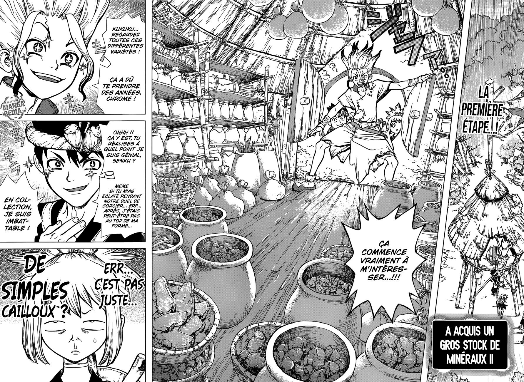 Read Dr Stone FR Manga Online