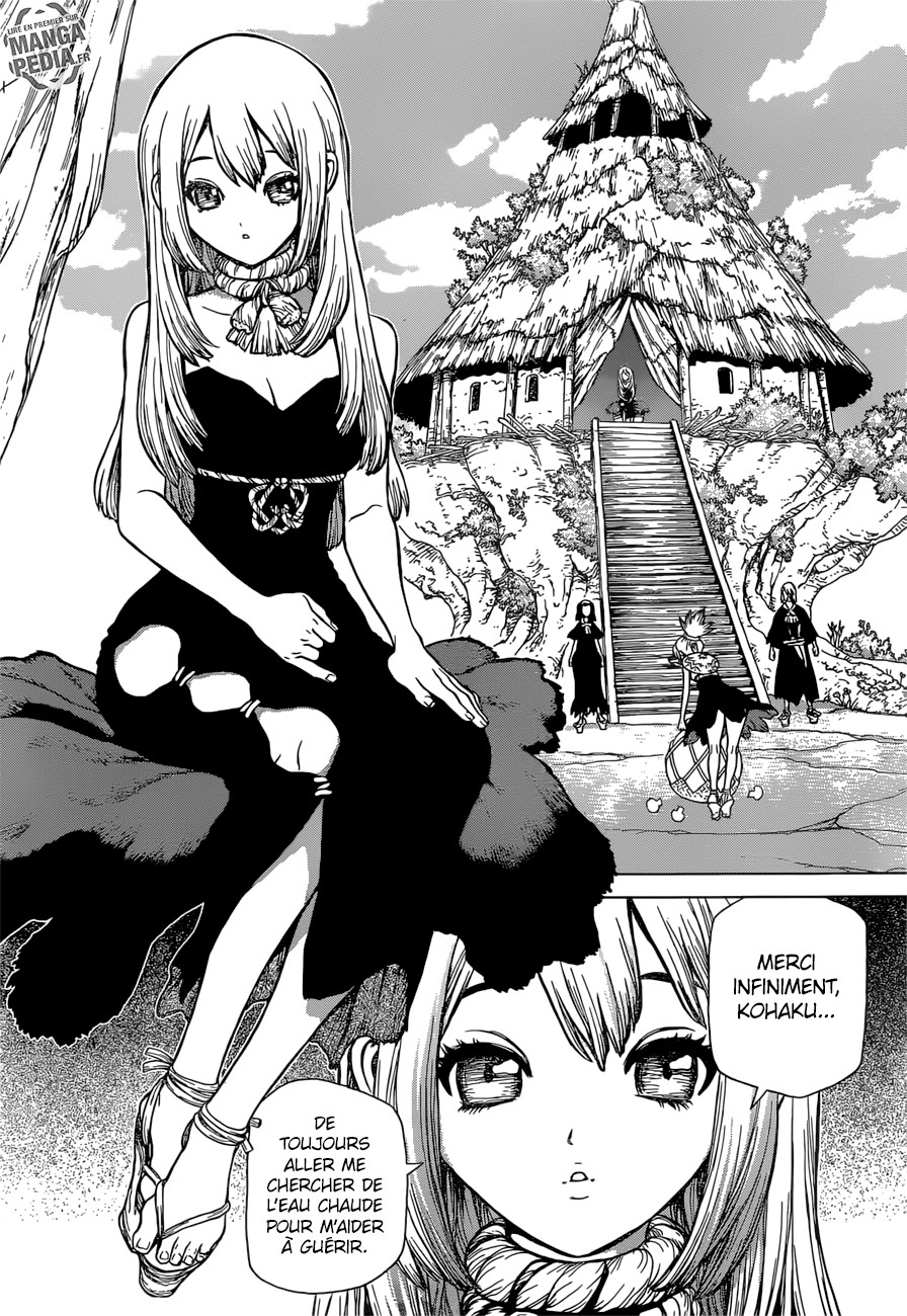 Read Dr Stone FR Manga Online