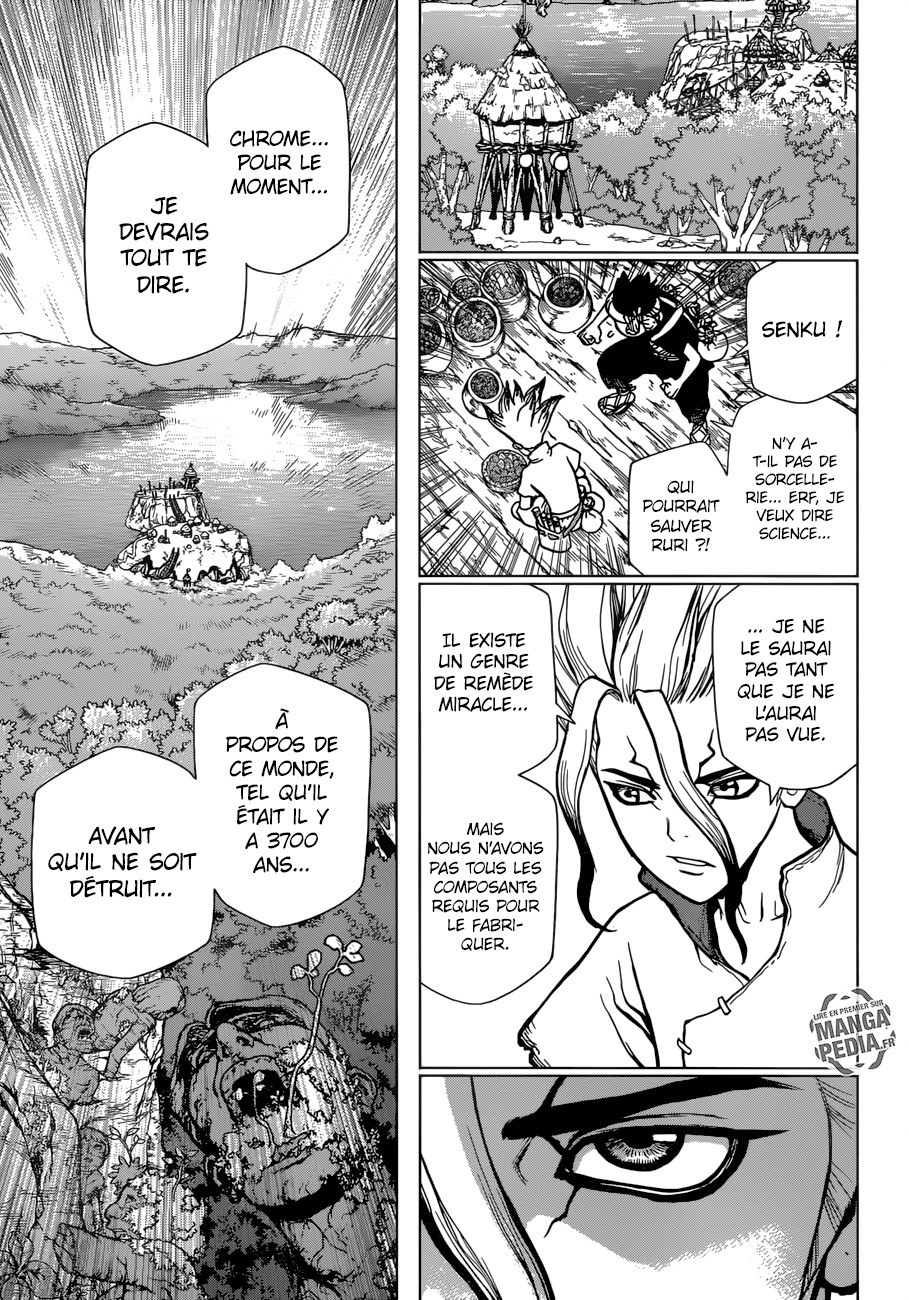 Read Dr Stone FR Manga Online