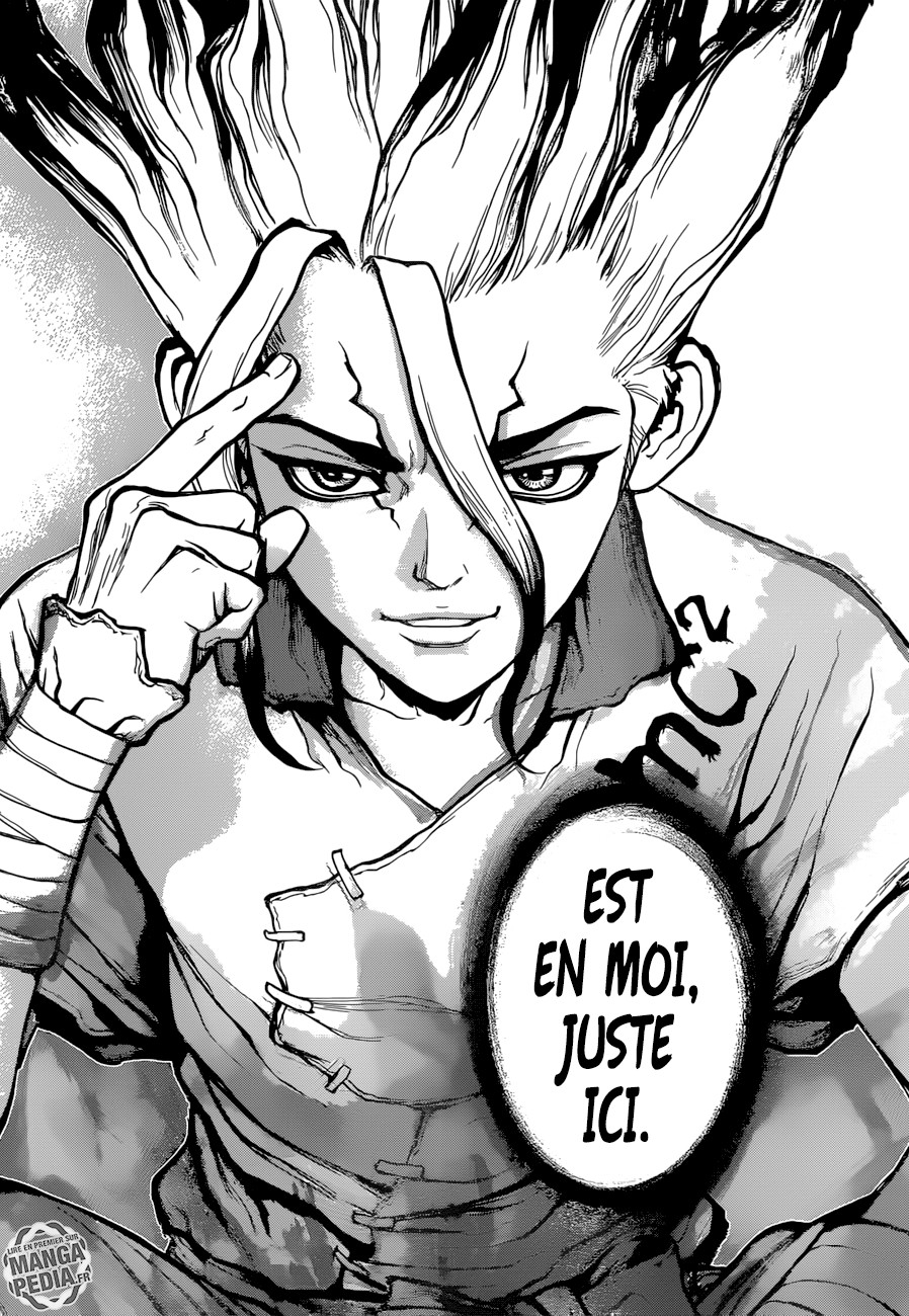 Read Dr Stone FR Manga Online