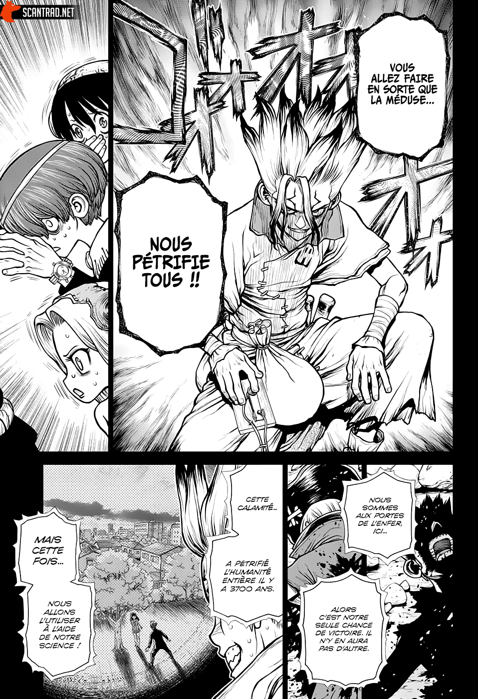 Read Dr Stone FR Manga Online