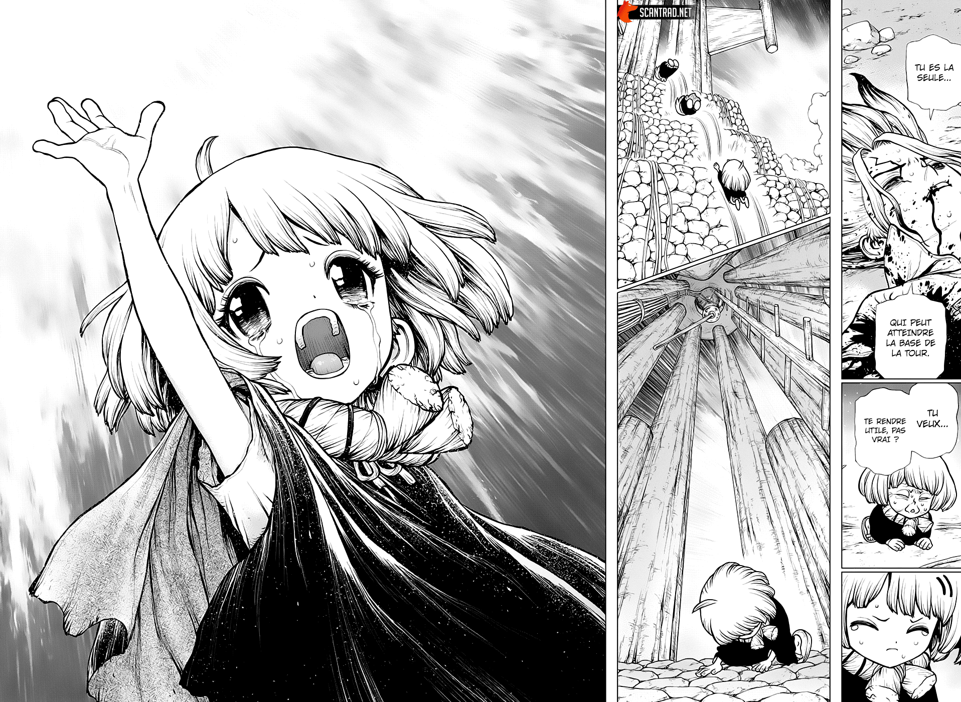 Read Dr Stone FR Manga Online