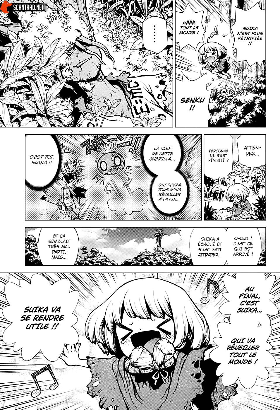 Read Dr Stone FR Manga Online