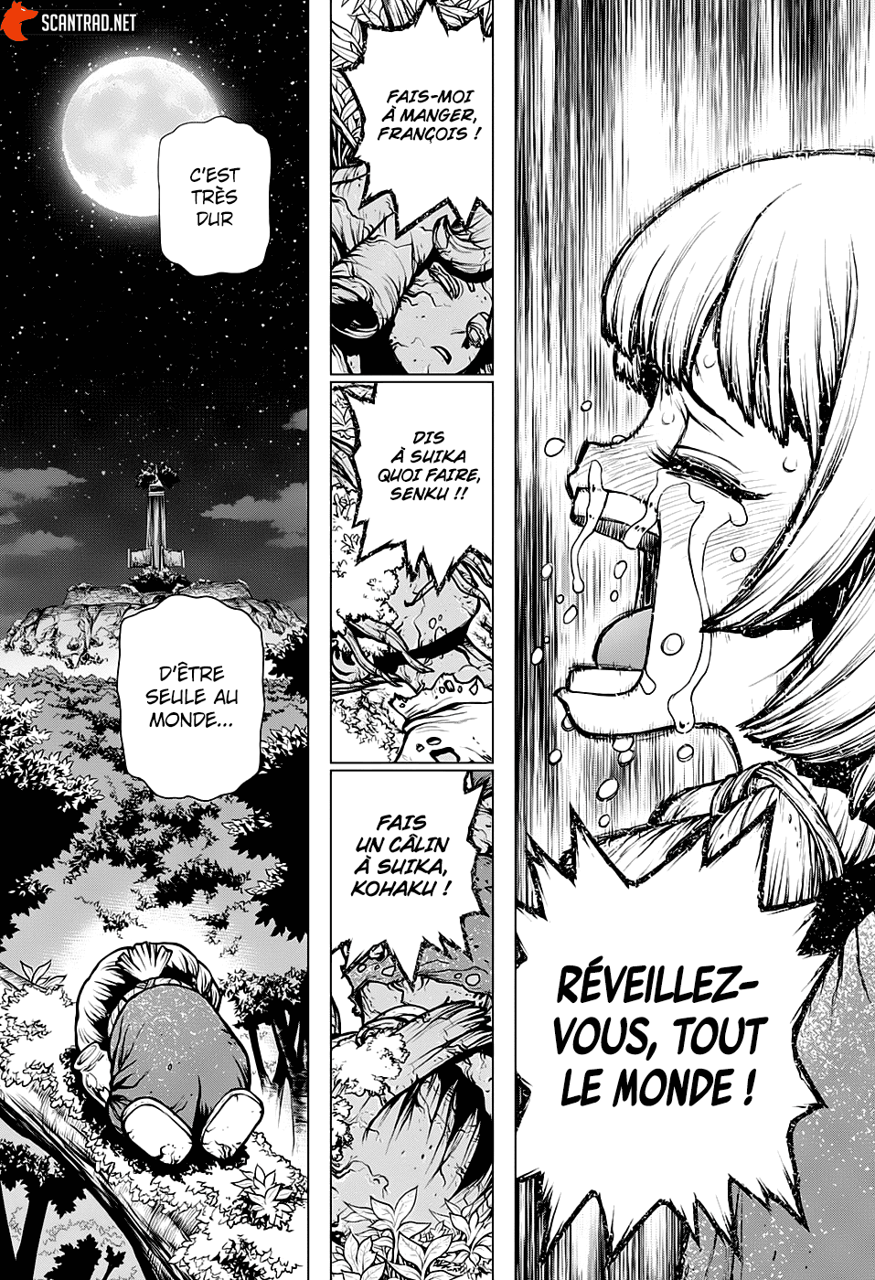 Read Dr Stone FR Manga Online