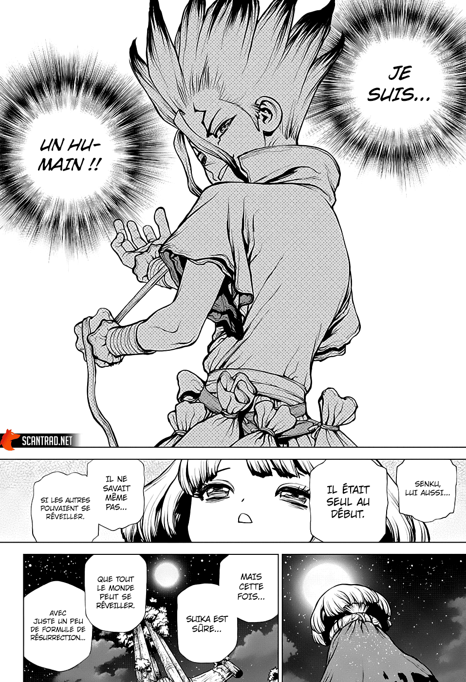 Read Dr Stone FR Manga Online