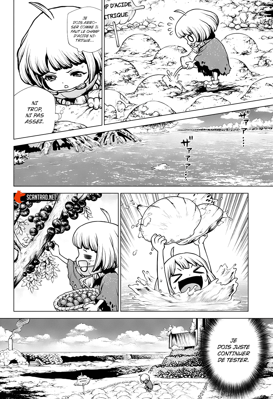Read Dr Stone FR Manga Online