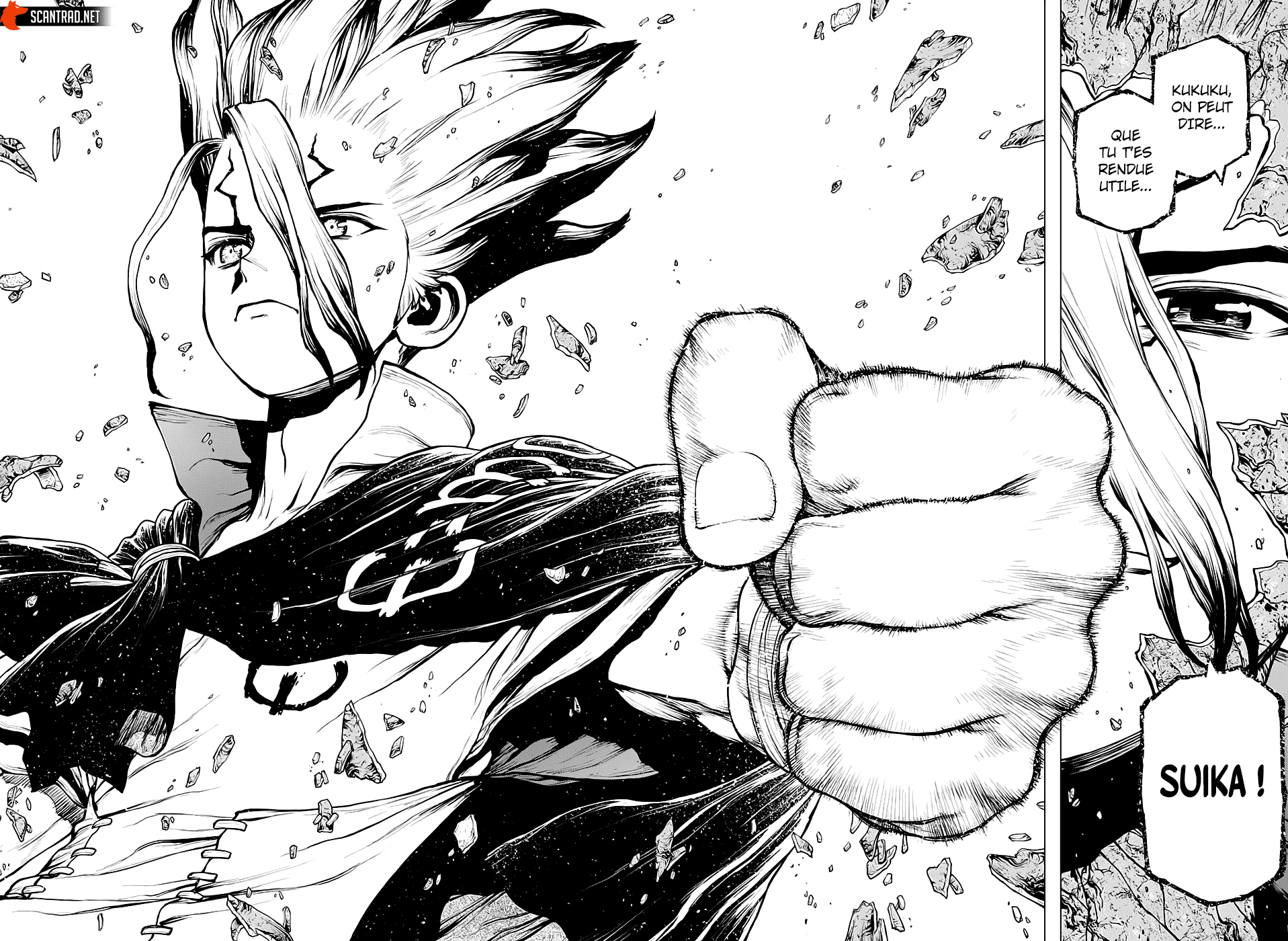 Read Dr Stone FR Manga Online