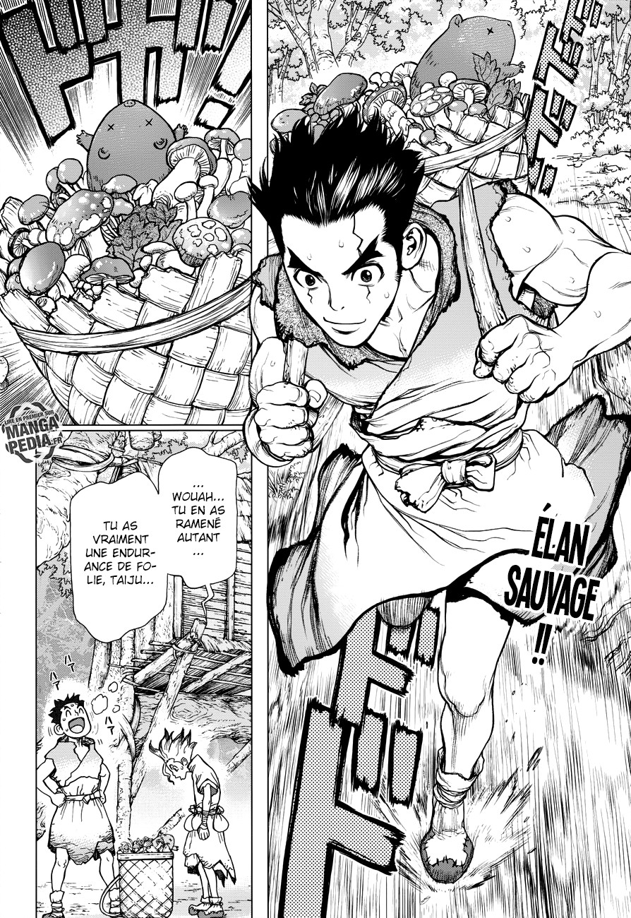 Read Dr Stone FR Manga Online