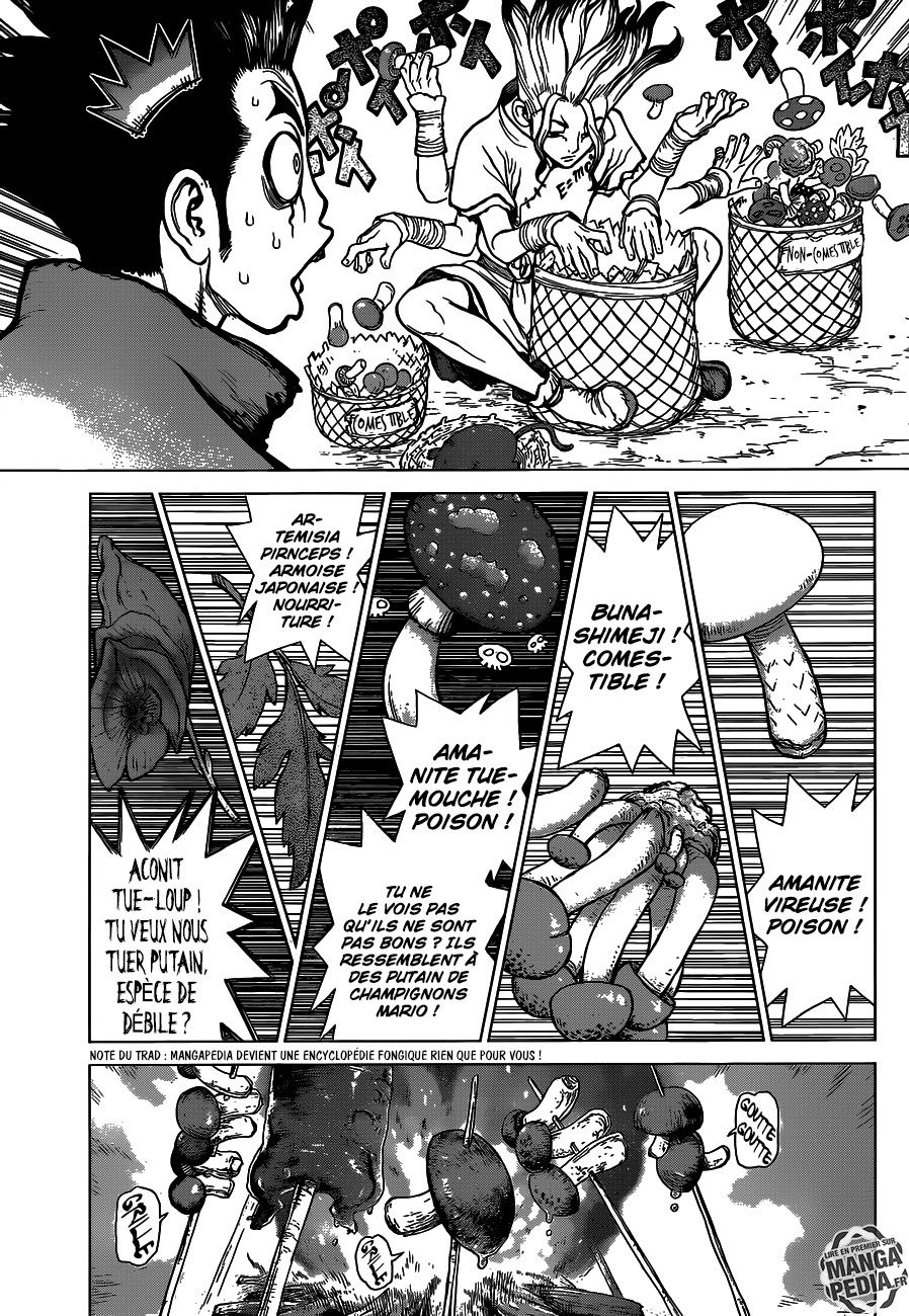 Read Dr Stone FR Manga Online