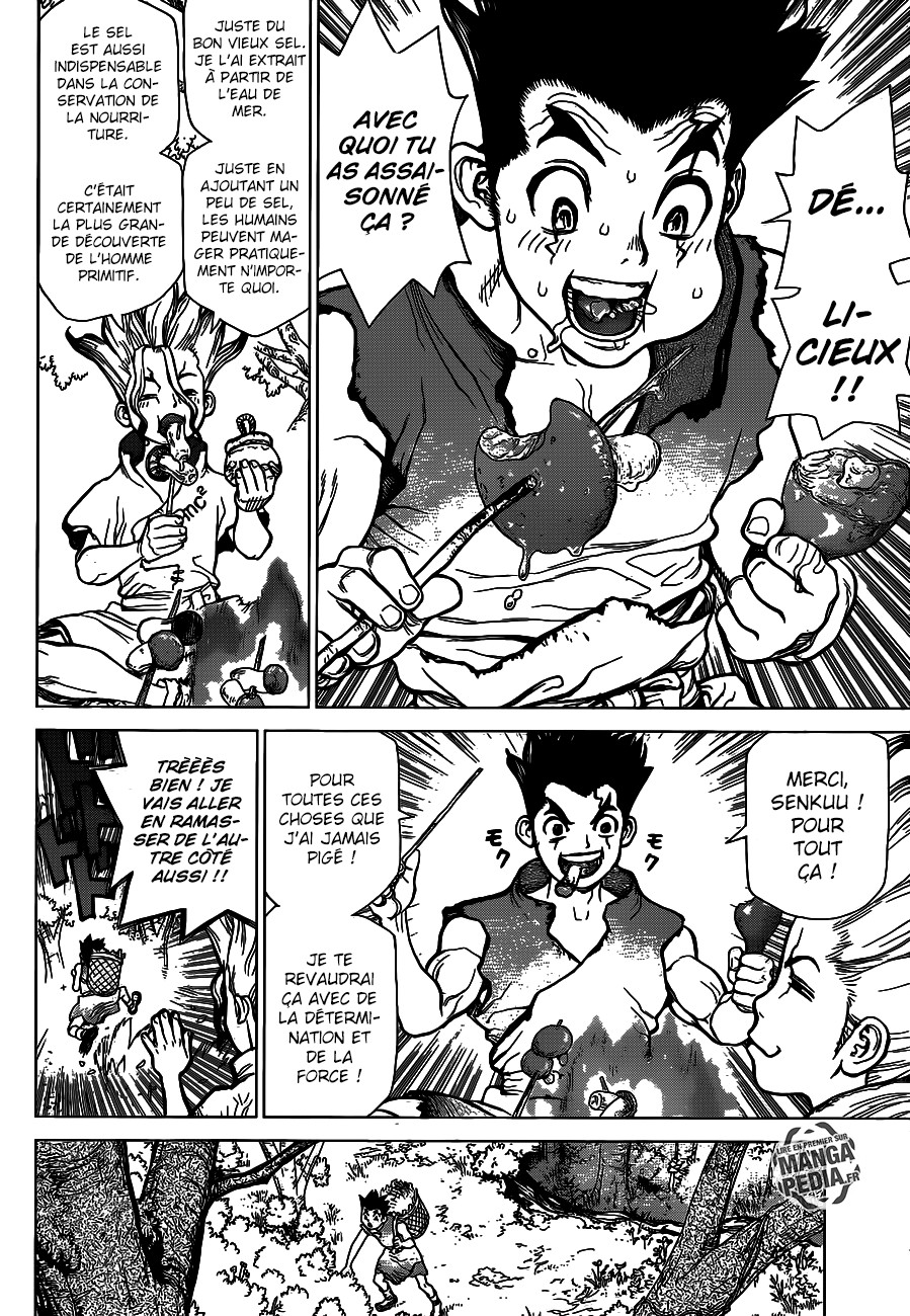 Read Dr Stone FR Manga Online