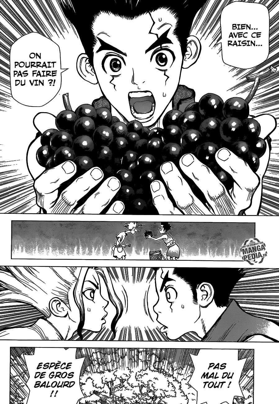 Read Dr Stone FR Manga Online