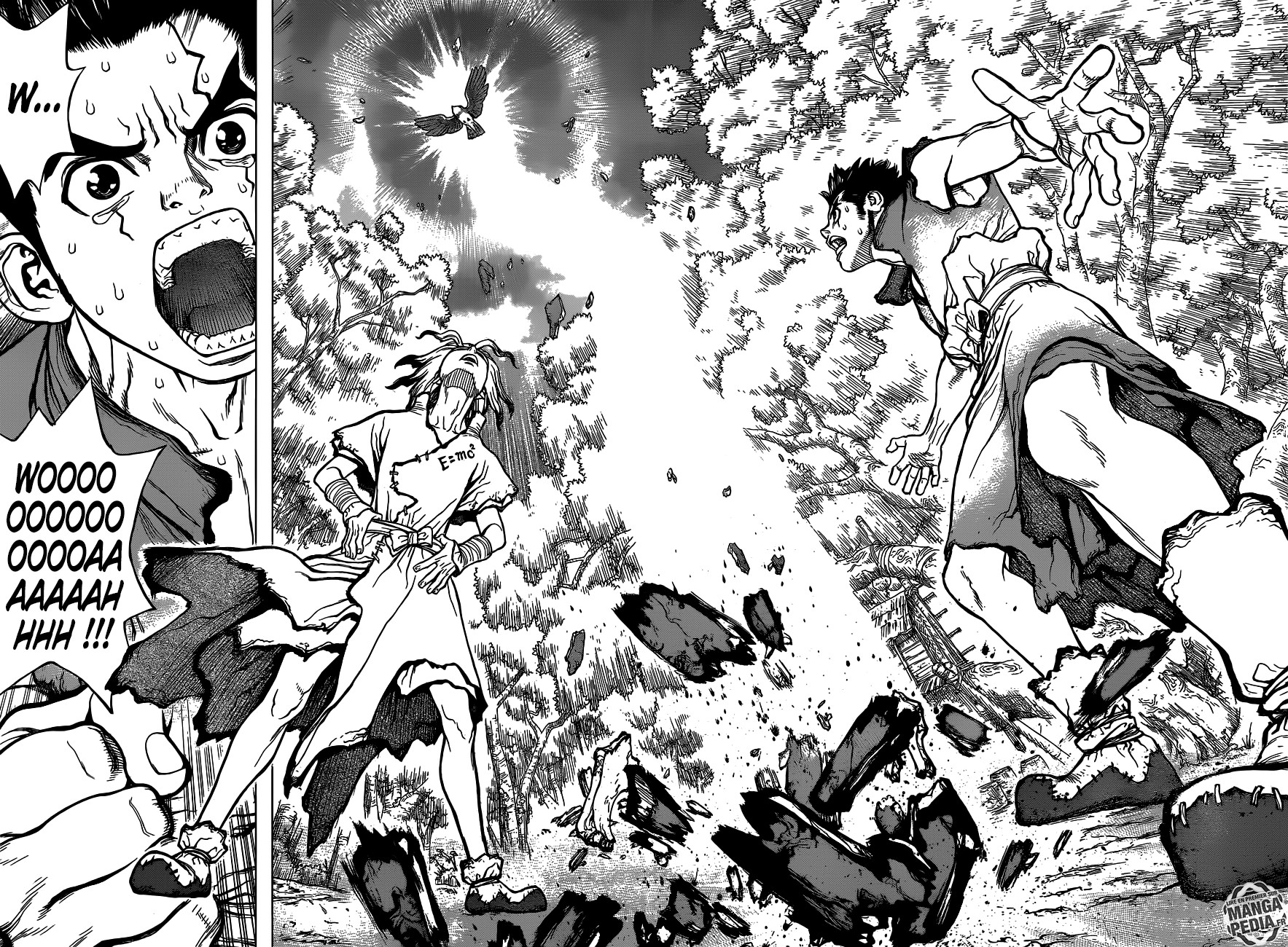 Read Dr Stone FR Manga Online