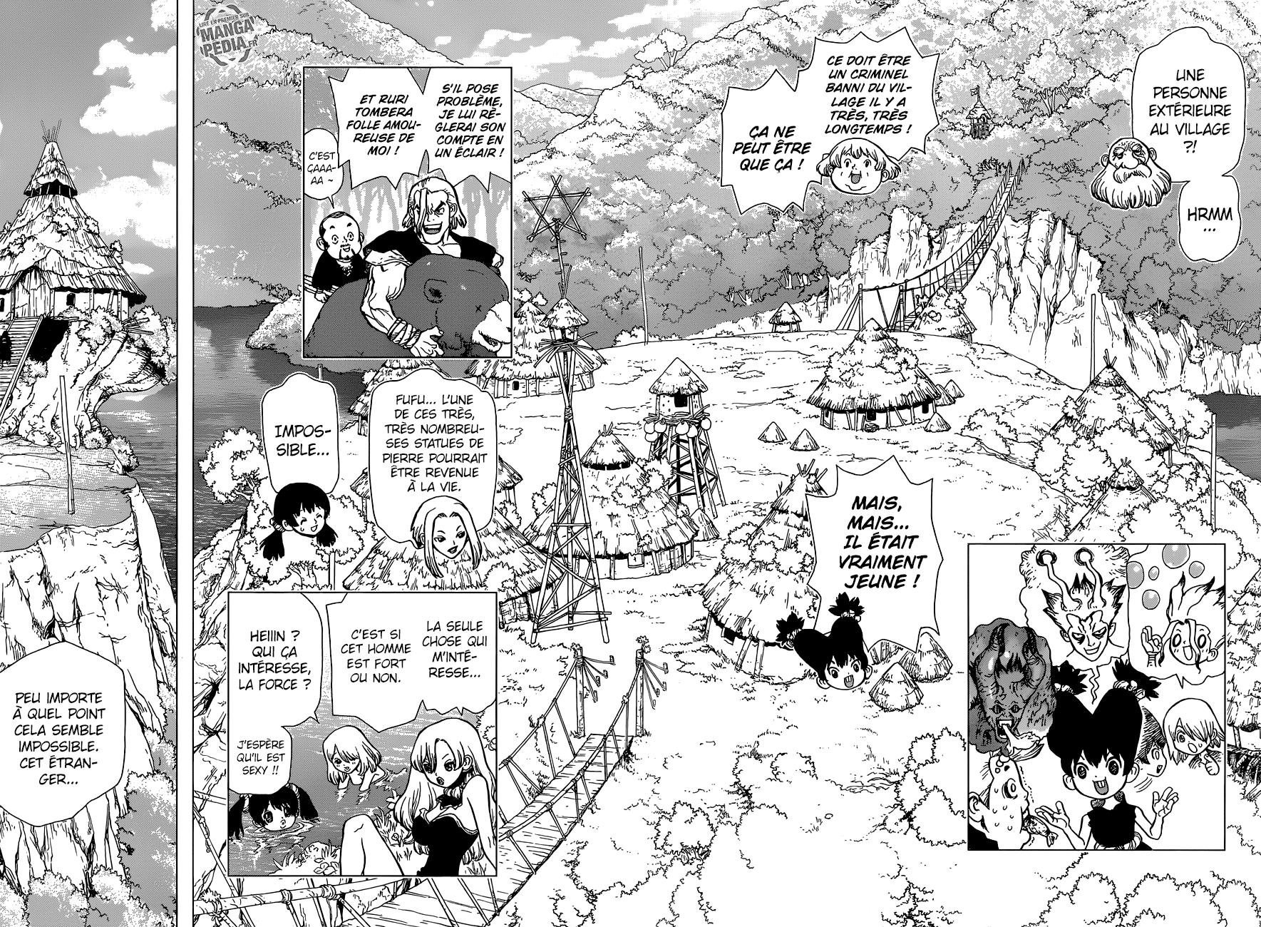 Read Dr Stone FR Manga Online