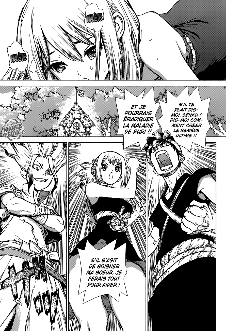 Read Dr Stone FR Manga Online