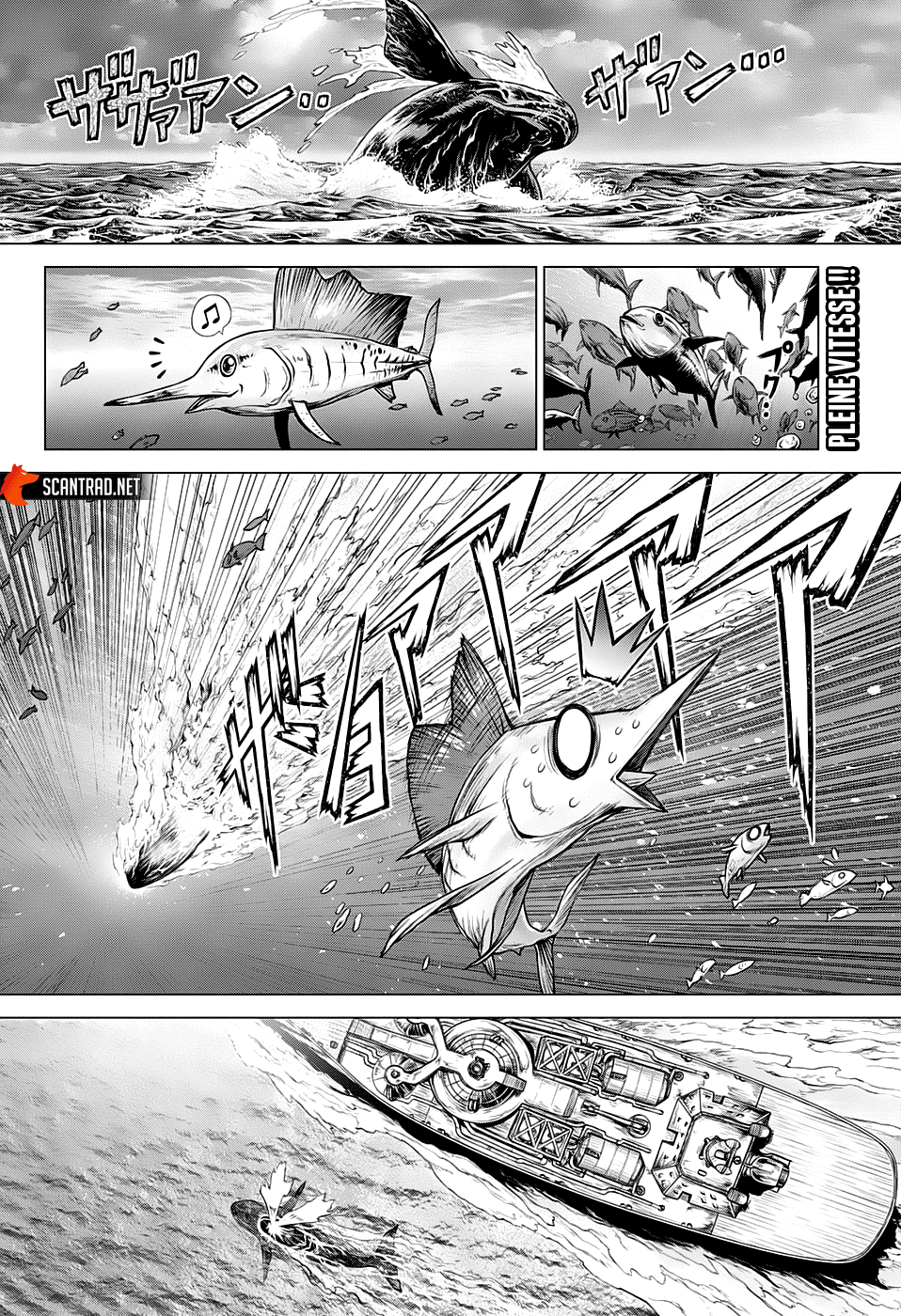 Read Dr Stone FR Manga Online