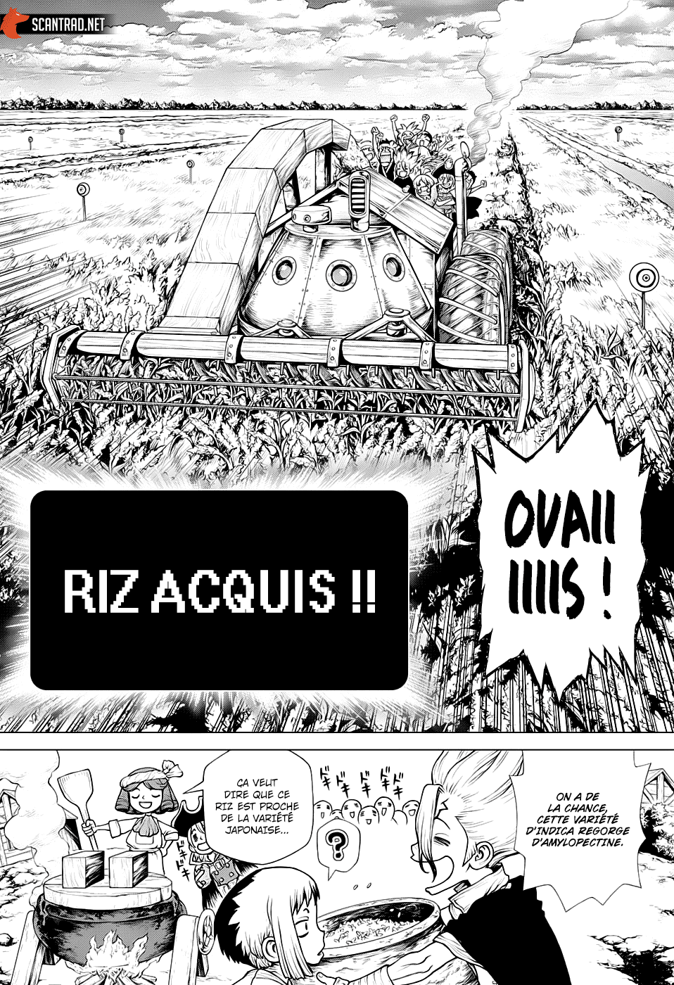 Read Dr Stone FR Manga Online