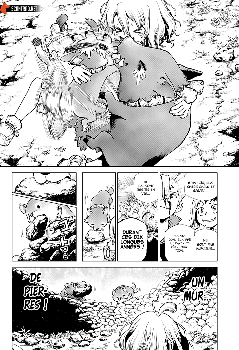 Read Dr Stone FR Manga Online