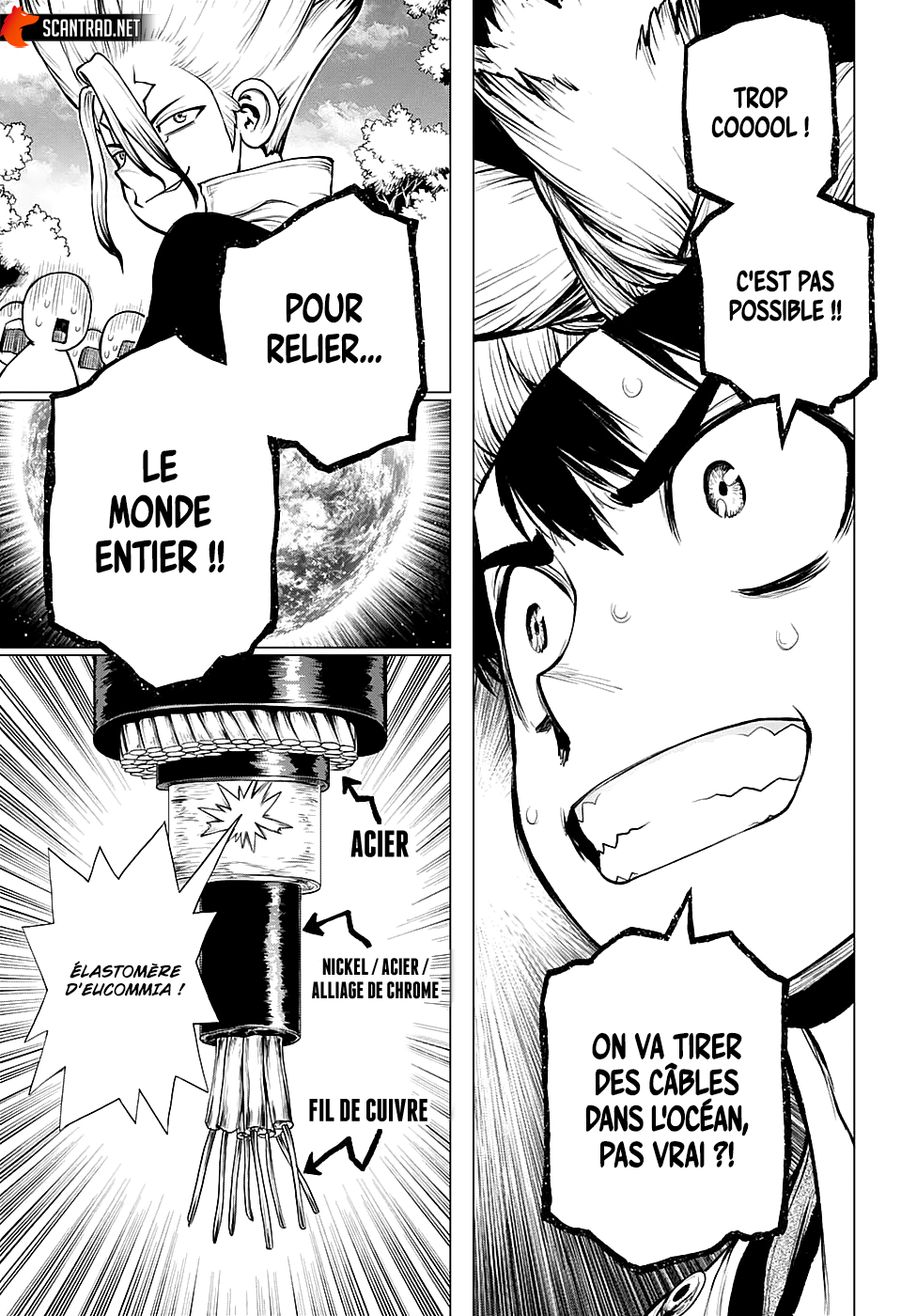 Read Dr Stone FR Manga Online