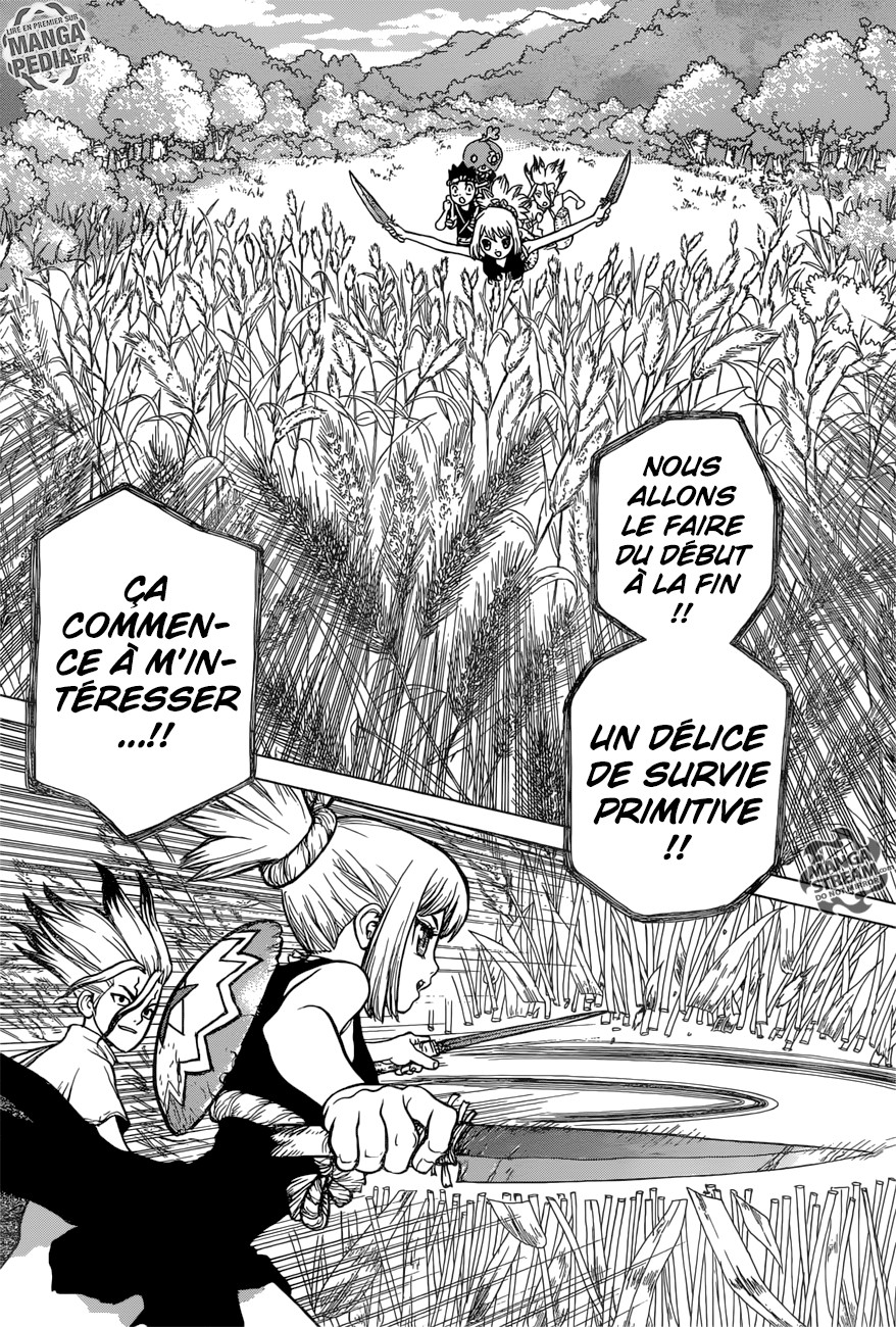 Read Dr Stone FR Manga Online