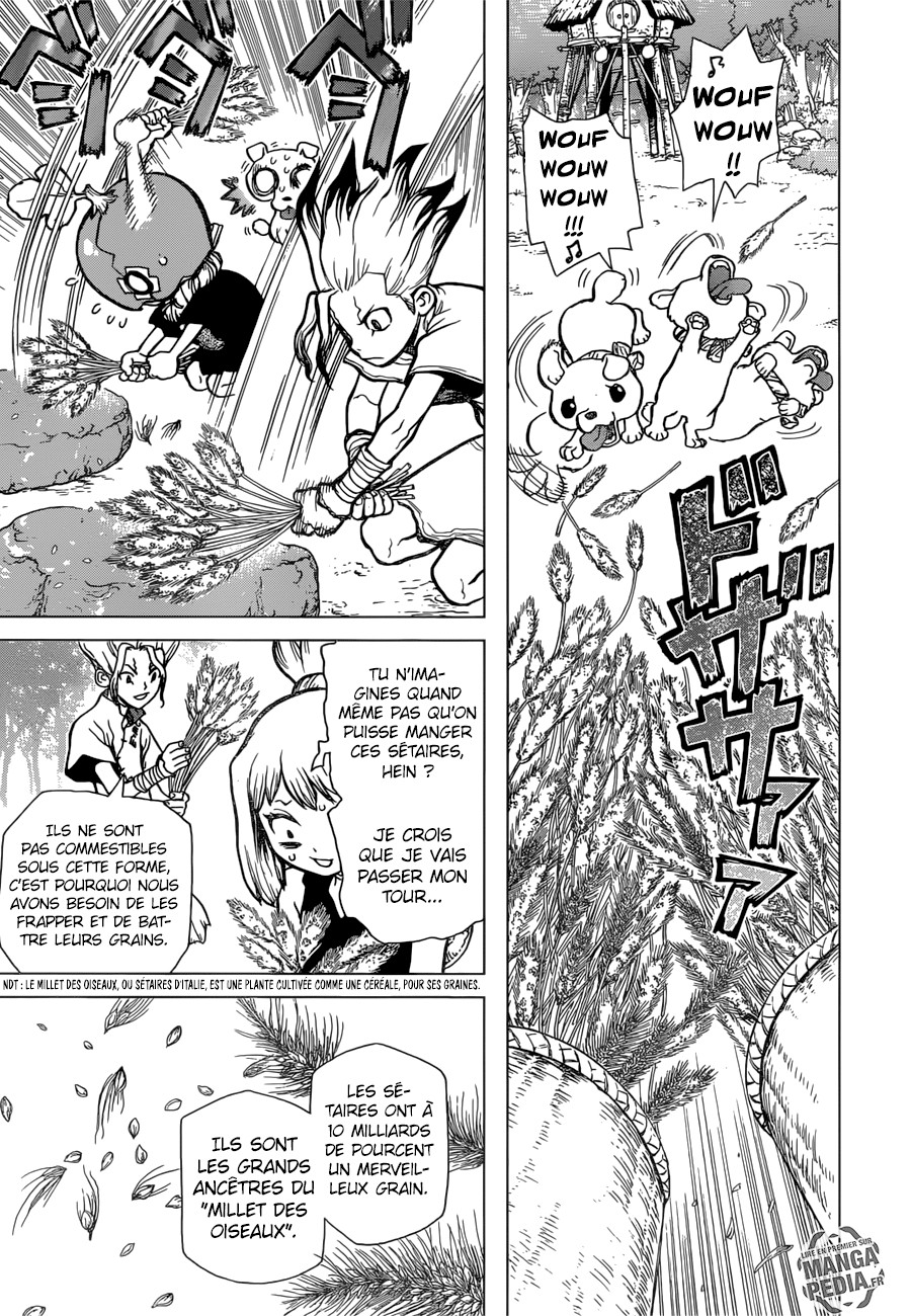 Read Dr Stone FR Manga Online