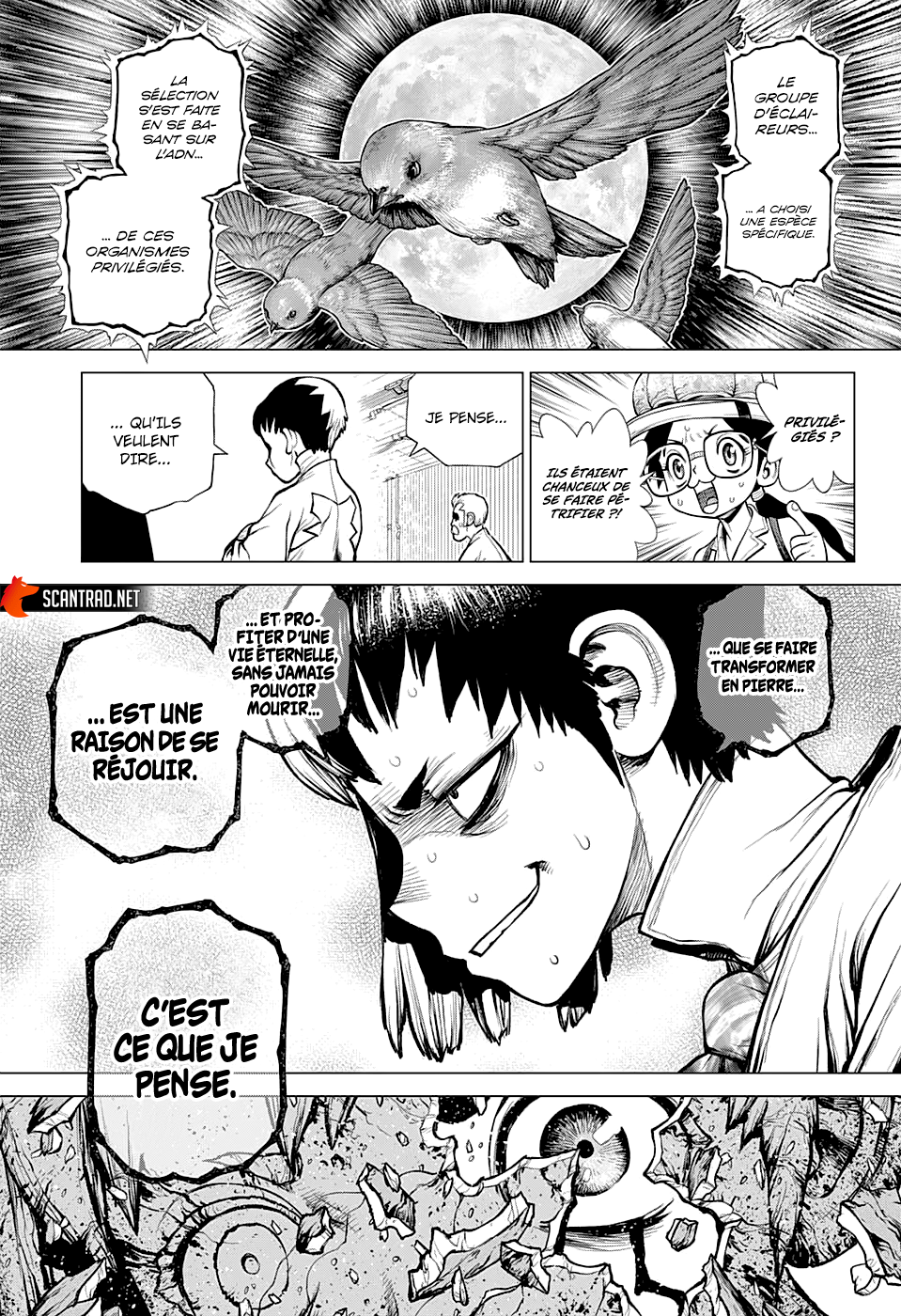 Read Dr Stone FR Manga Online