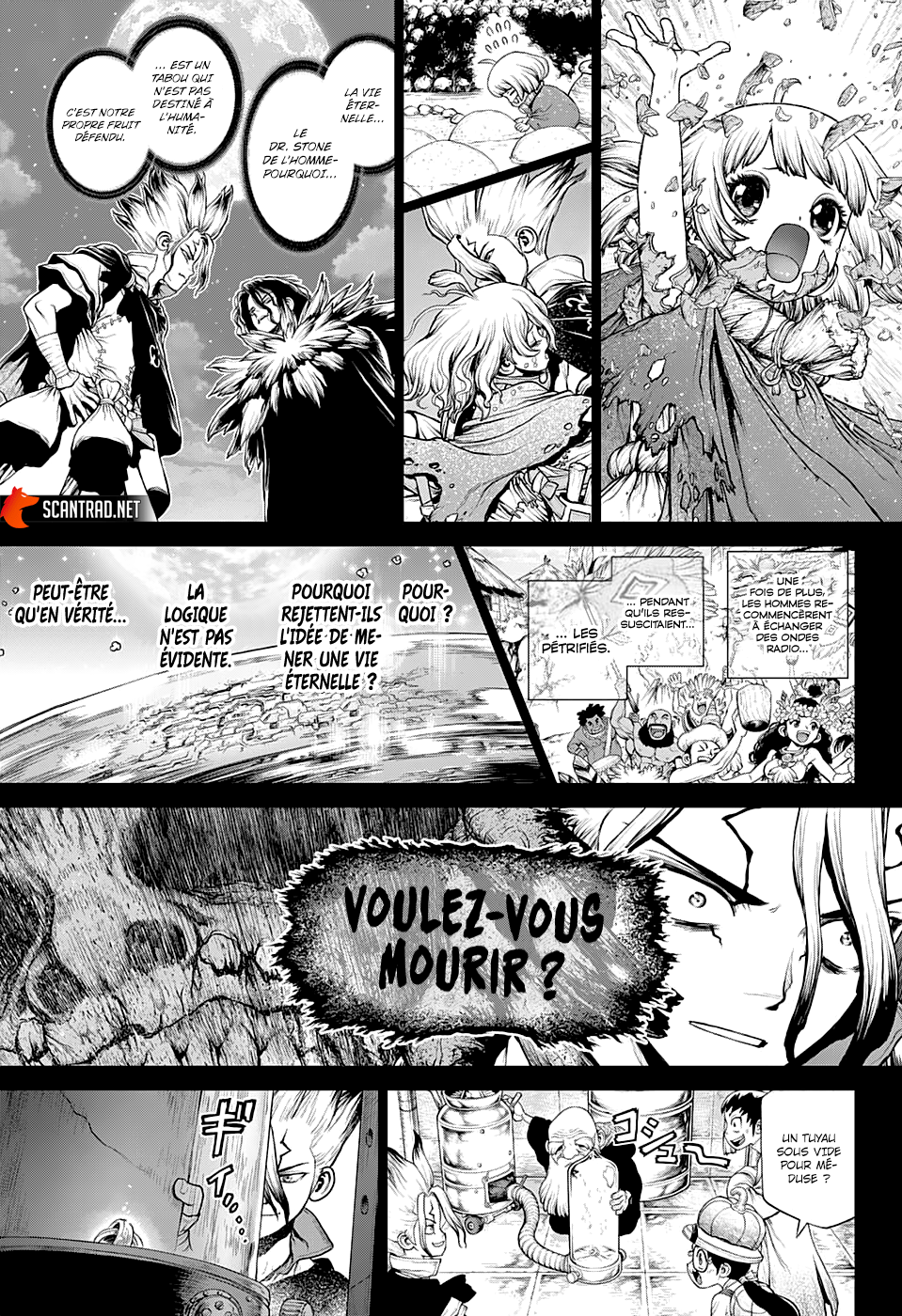 Read Dr Stone FR Manga Online