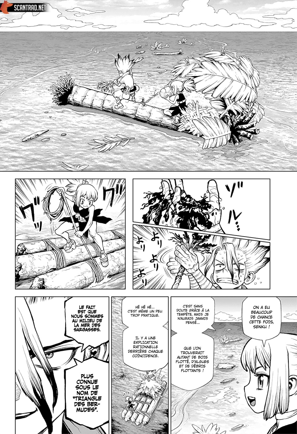 Read Dr Stone FR Manga Online