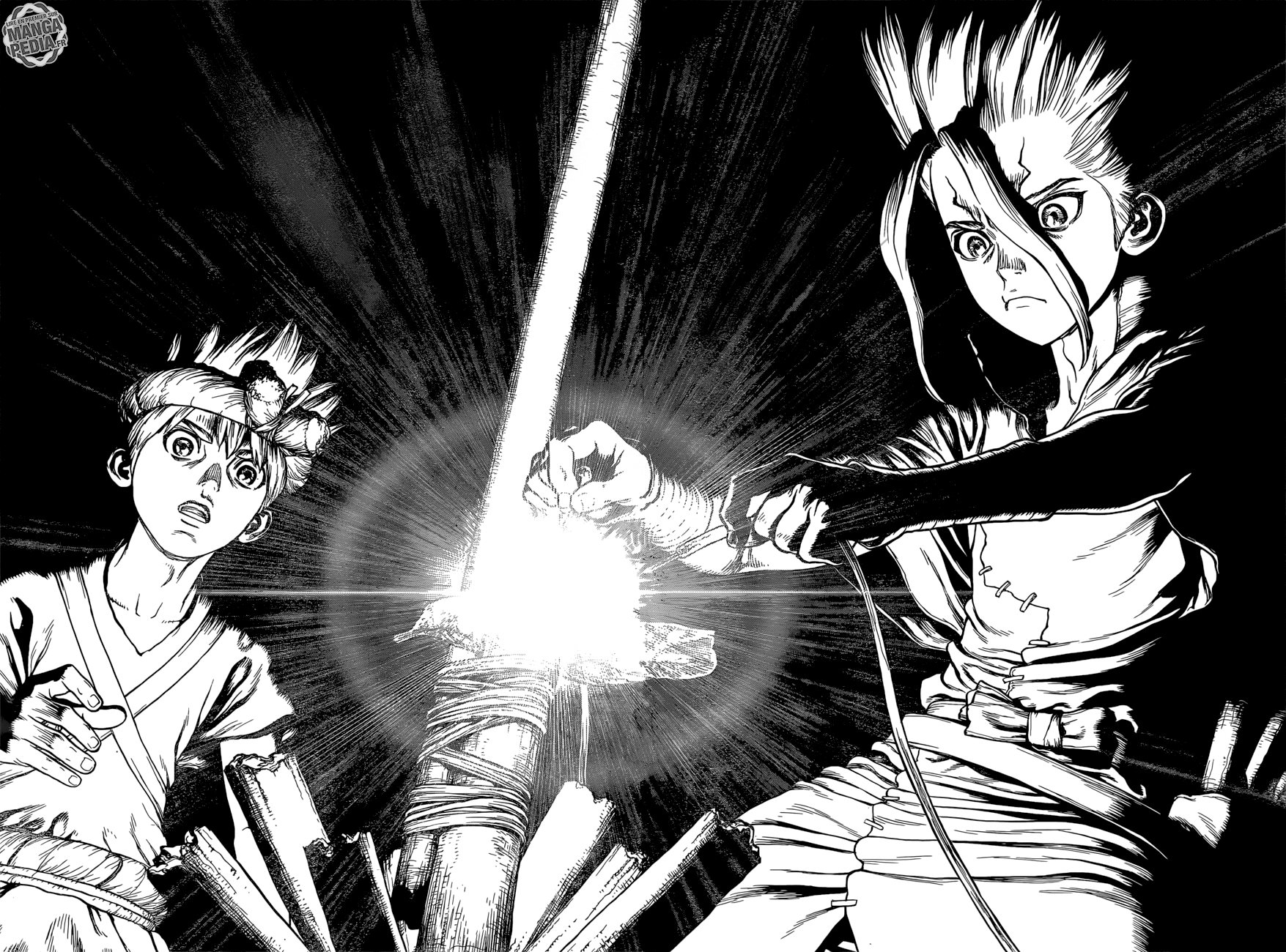 Read Dr Stone FR Manga Online