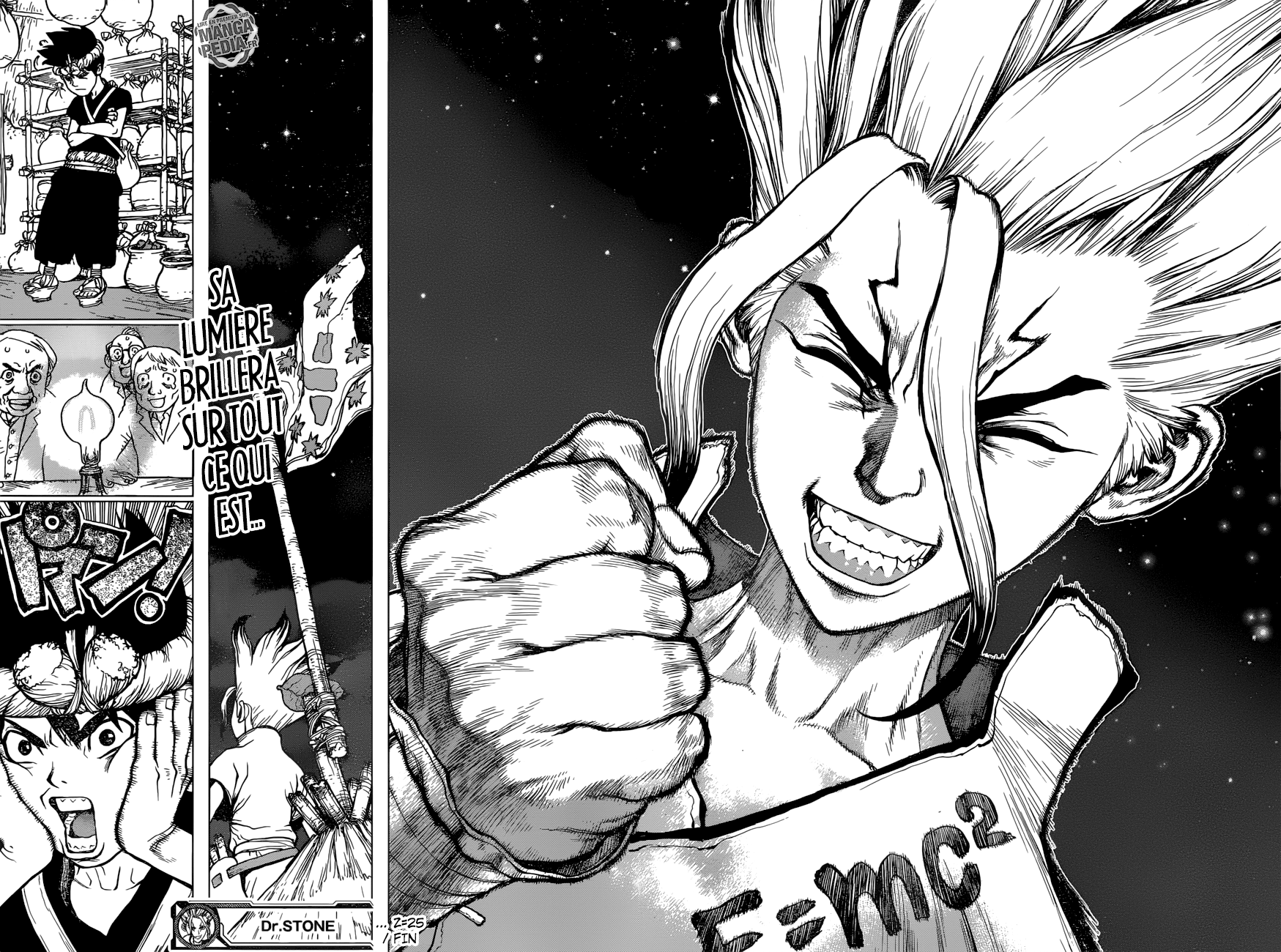 Read Dr Stone FR Manga Online