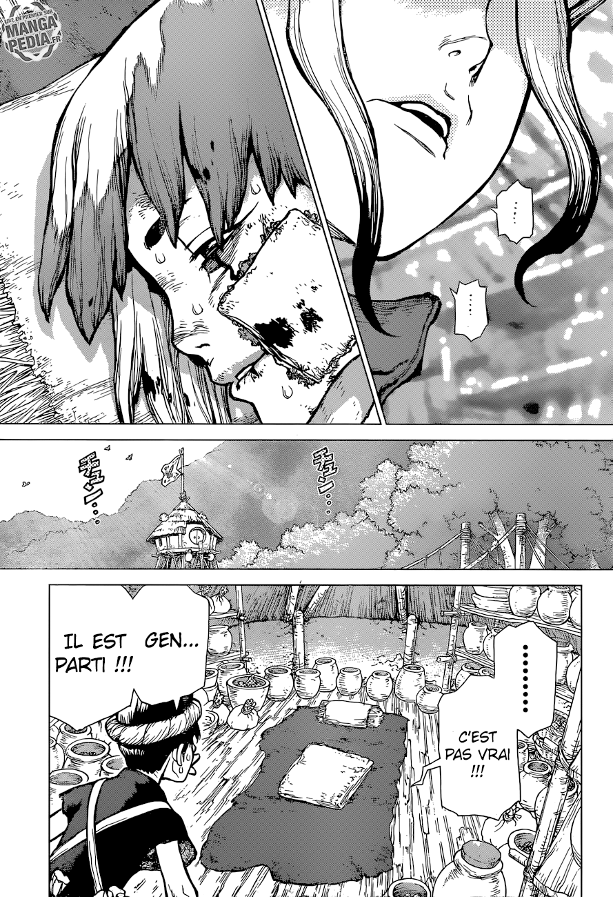 Read Dr Stone FR Manga Online