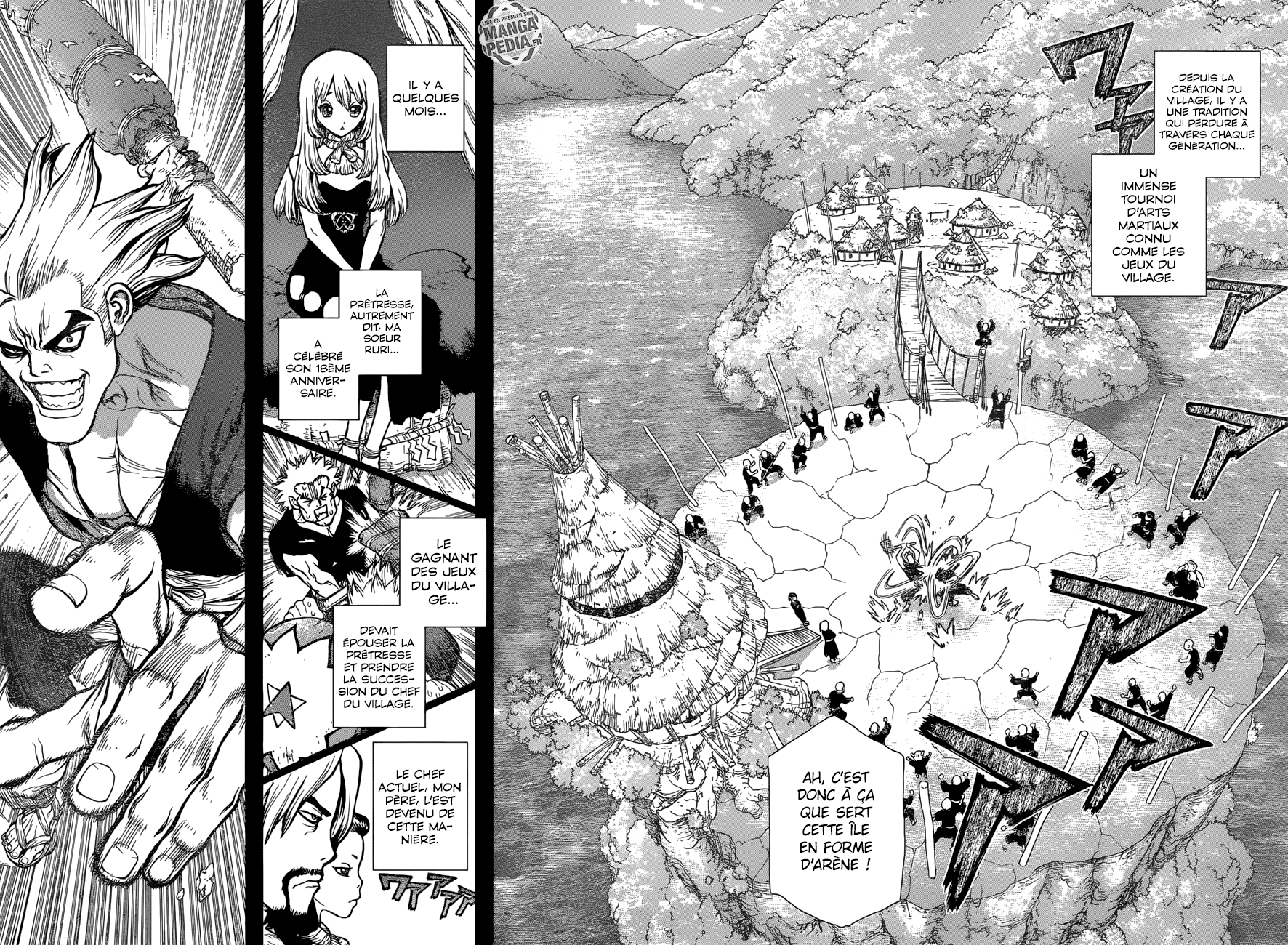Read Dr Stone FR Manga Online