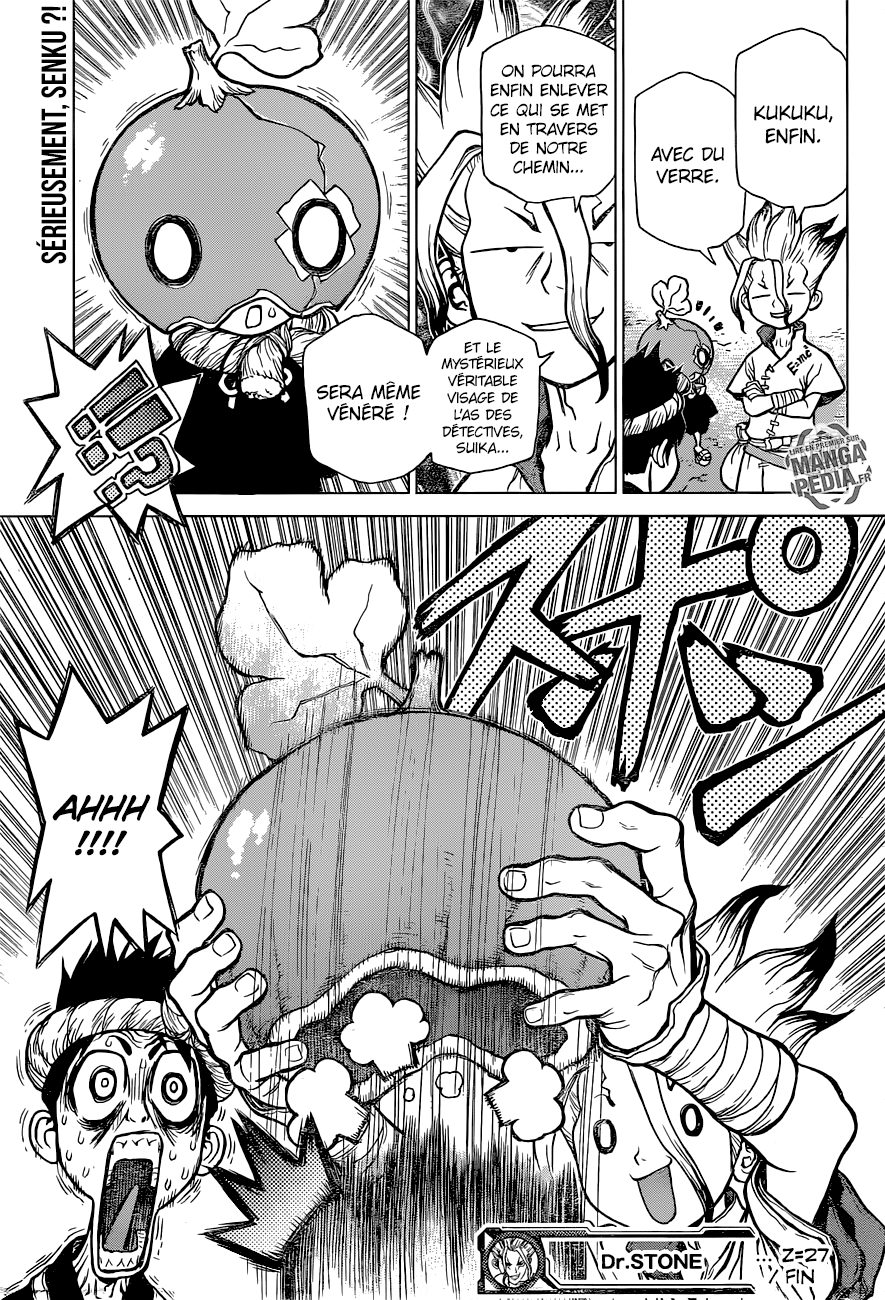 Read Dr Stone FR Manga Online