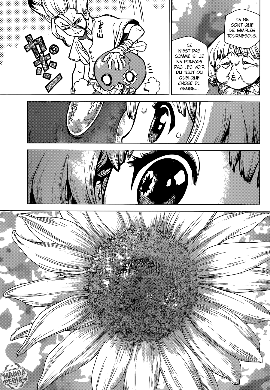 Read Dr Stone FR Manga Online
