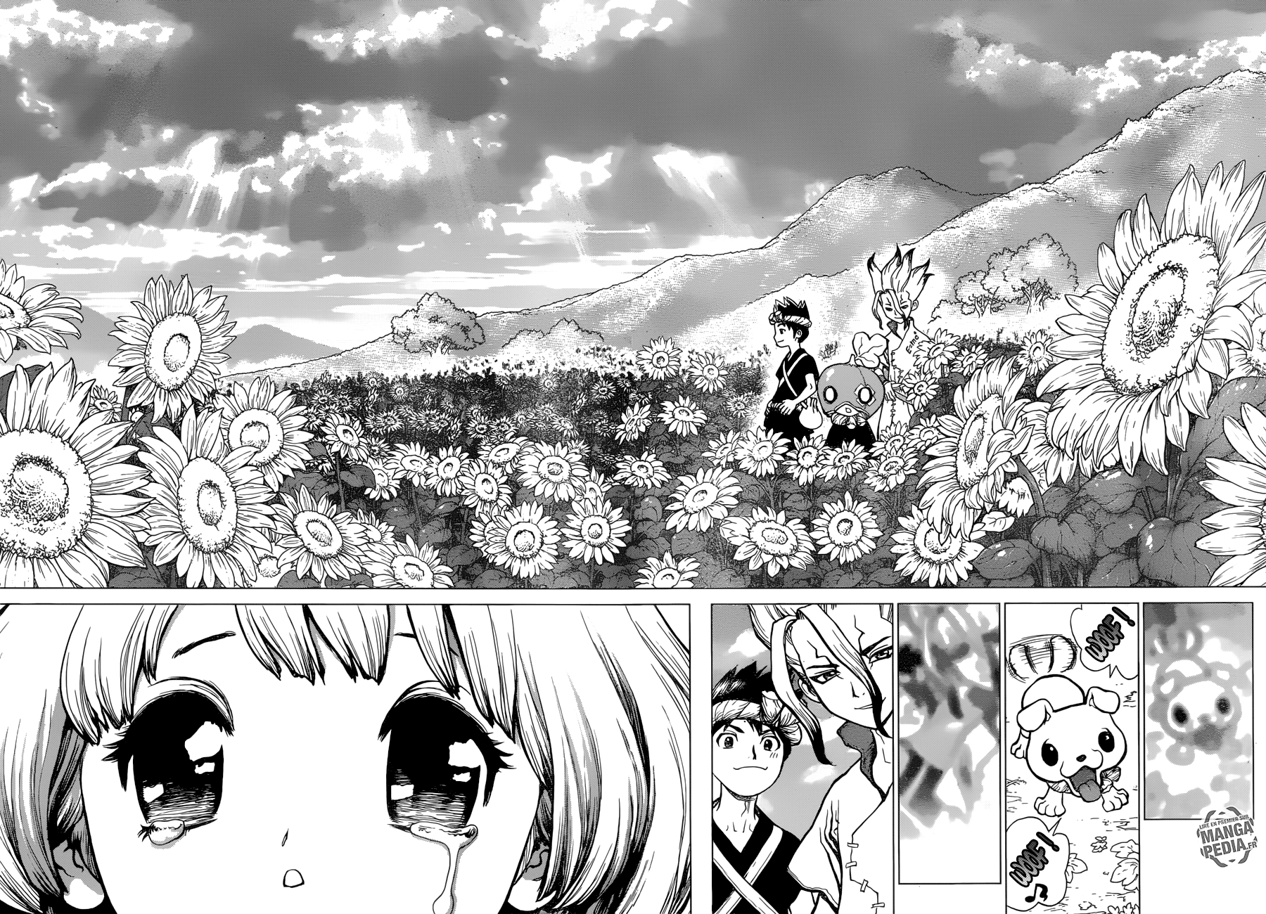 Read Dr Stone FR Manga Online