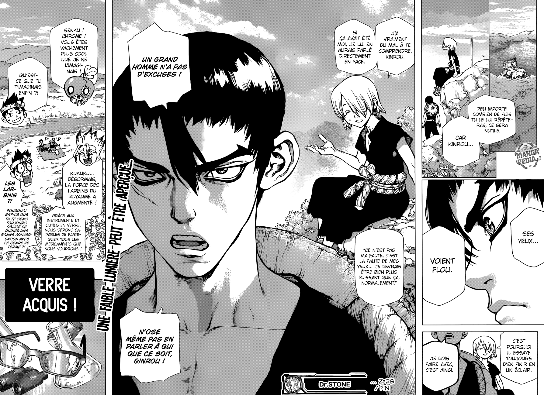 Read Dr Stone FR Manga Online