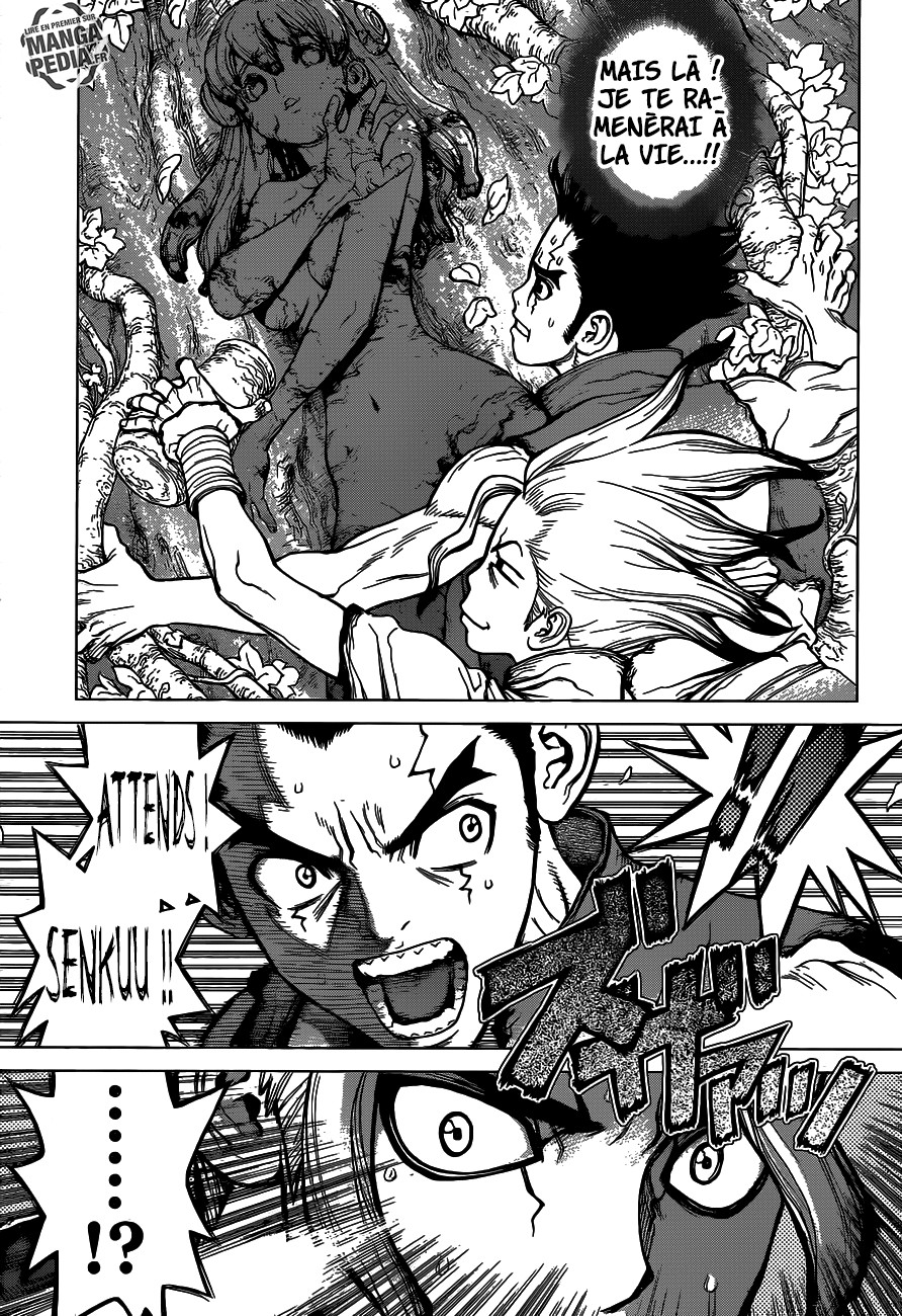 Read Dr Stone FR Manga Online