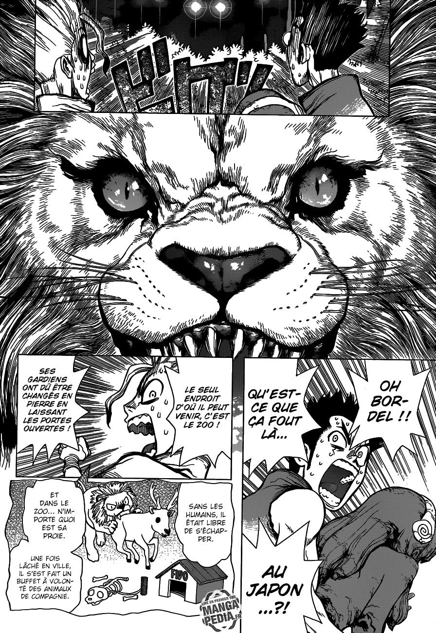 Read Dr Stone FR Manga Online