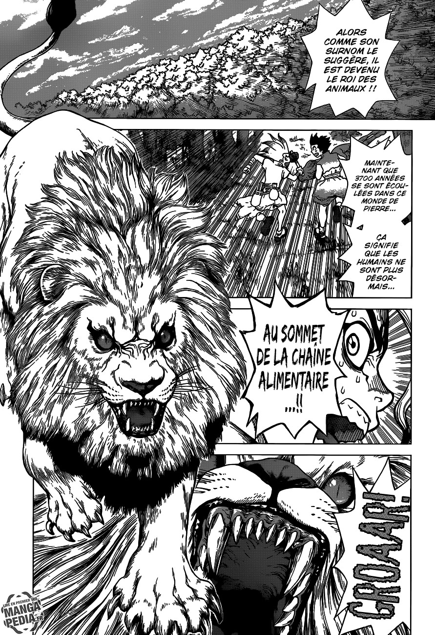 Read Dr Stone FR Manga Online