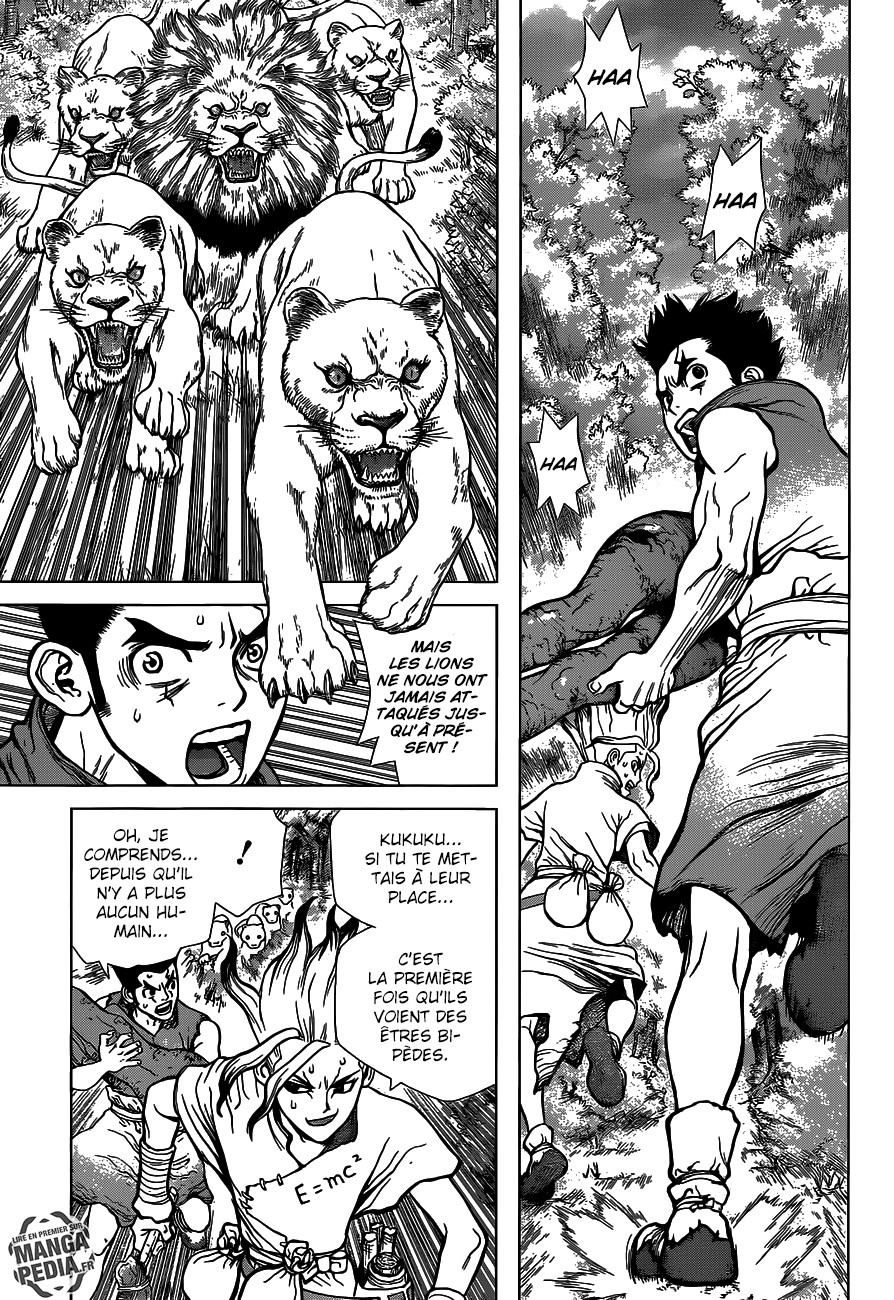 Read Dr Stone FR Manga Online
