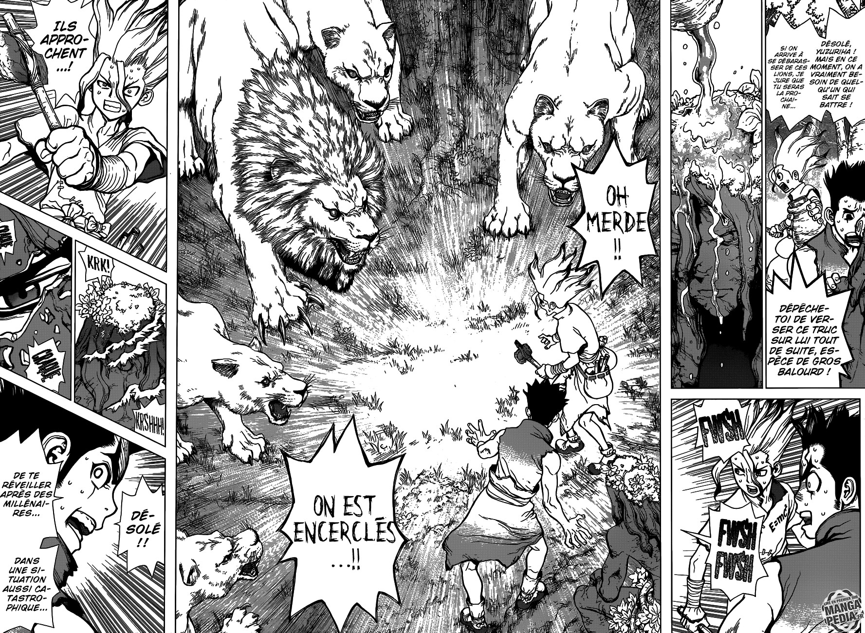 Read Dr Stone FR Manga Online