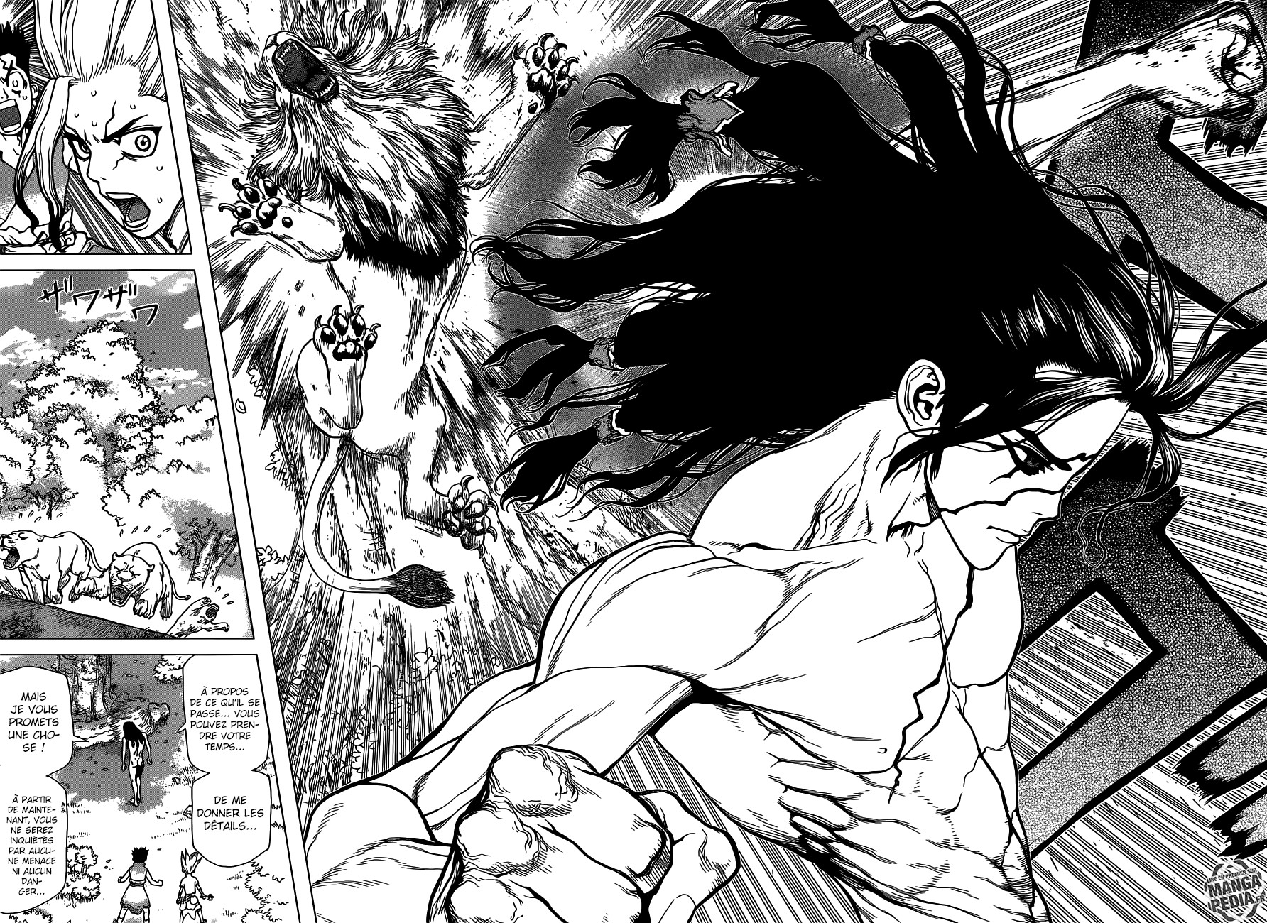 Read Dr Stone FR Manga Online
