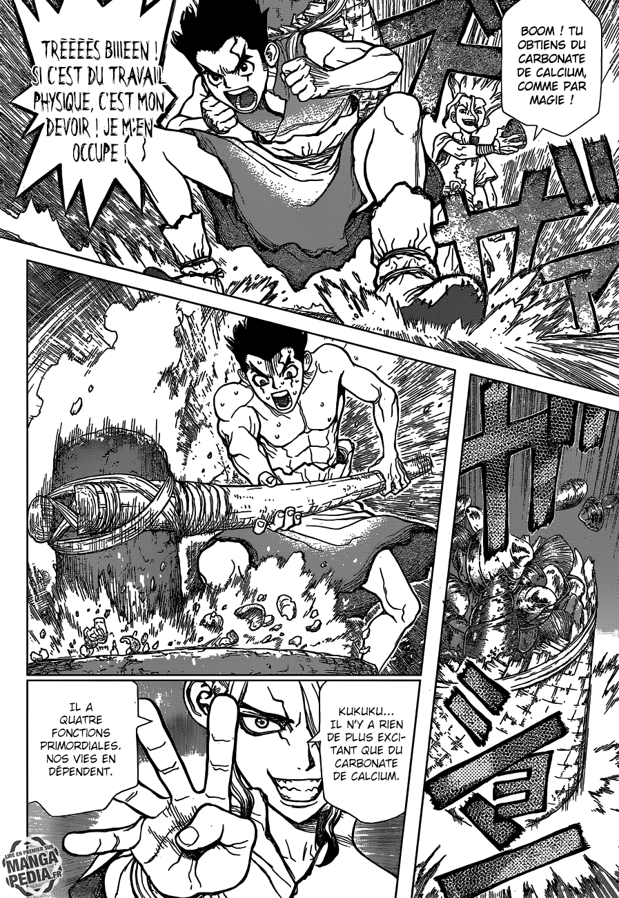 Read Dr Stone FR Manga Online