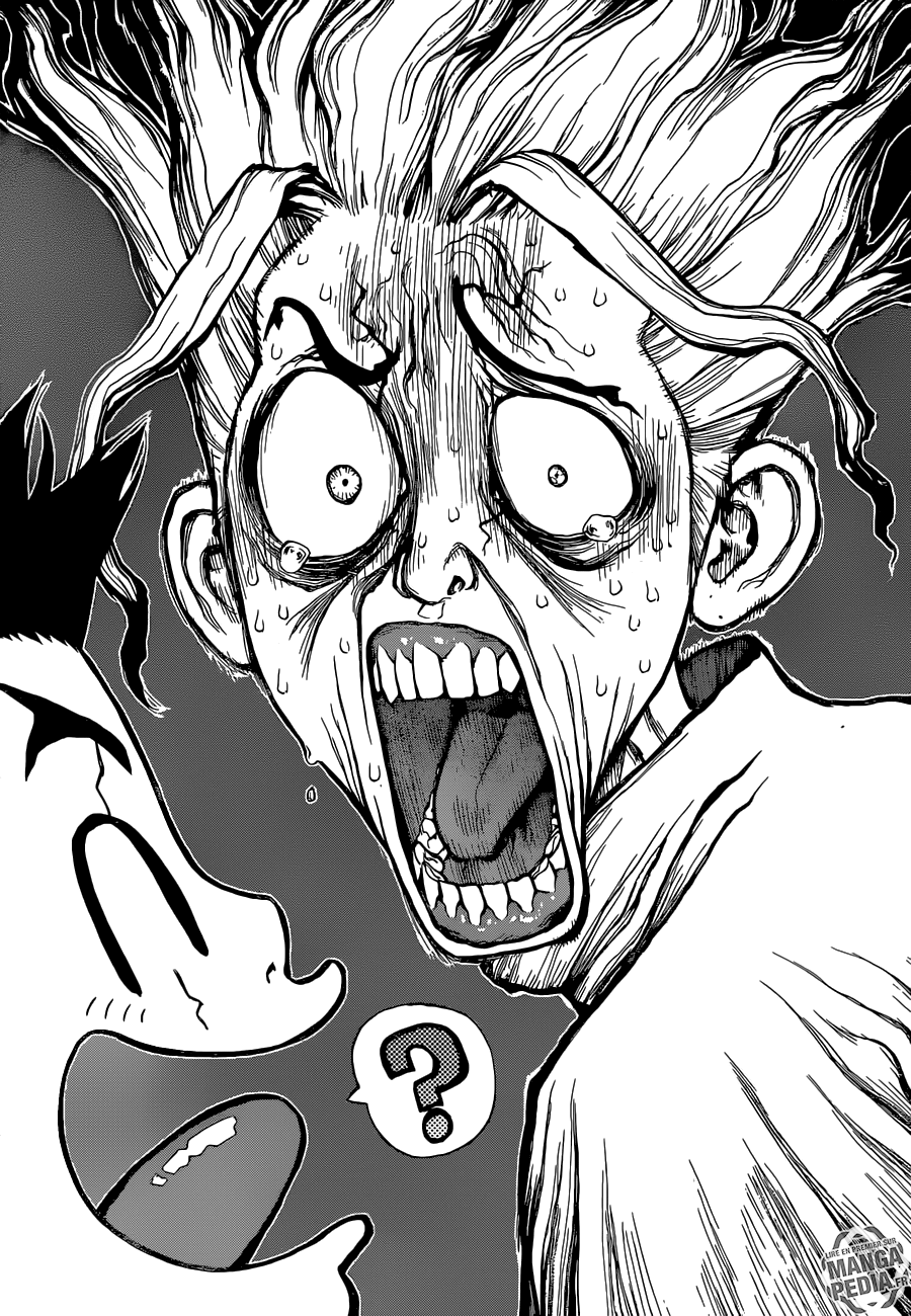 Read Dr Stone FR Manga Online
