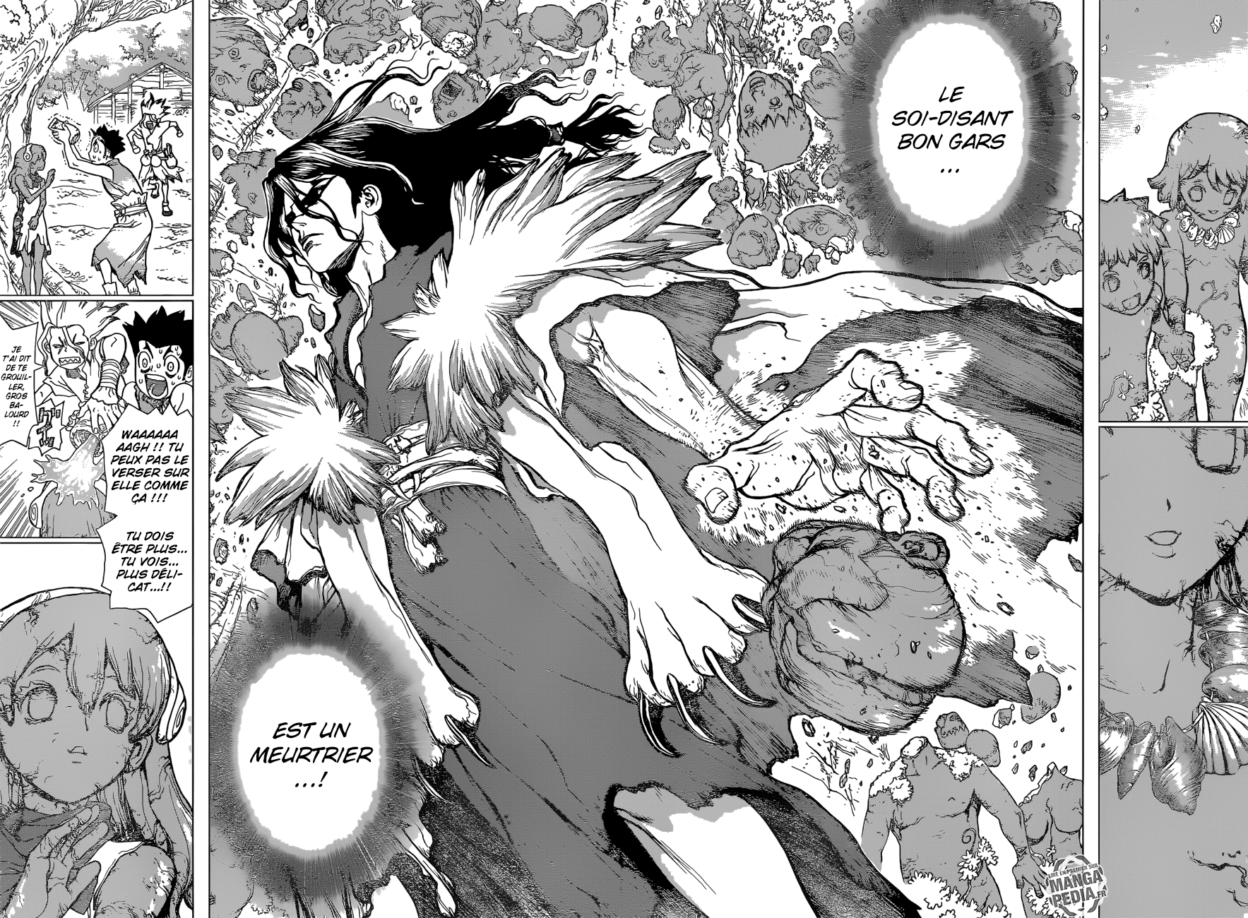 Read Dr Stone FR Manga Online
