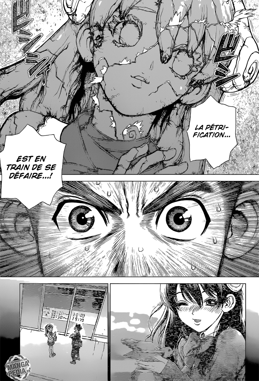 Read Dr Stone FR Manga Online